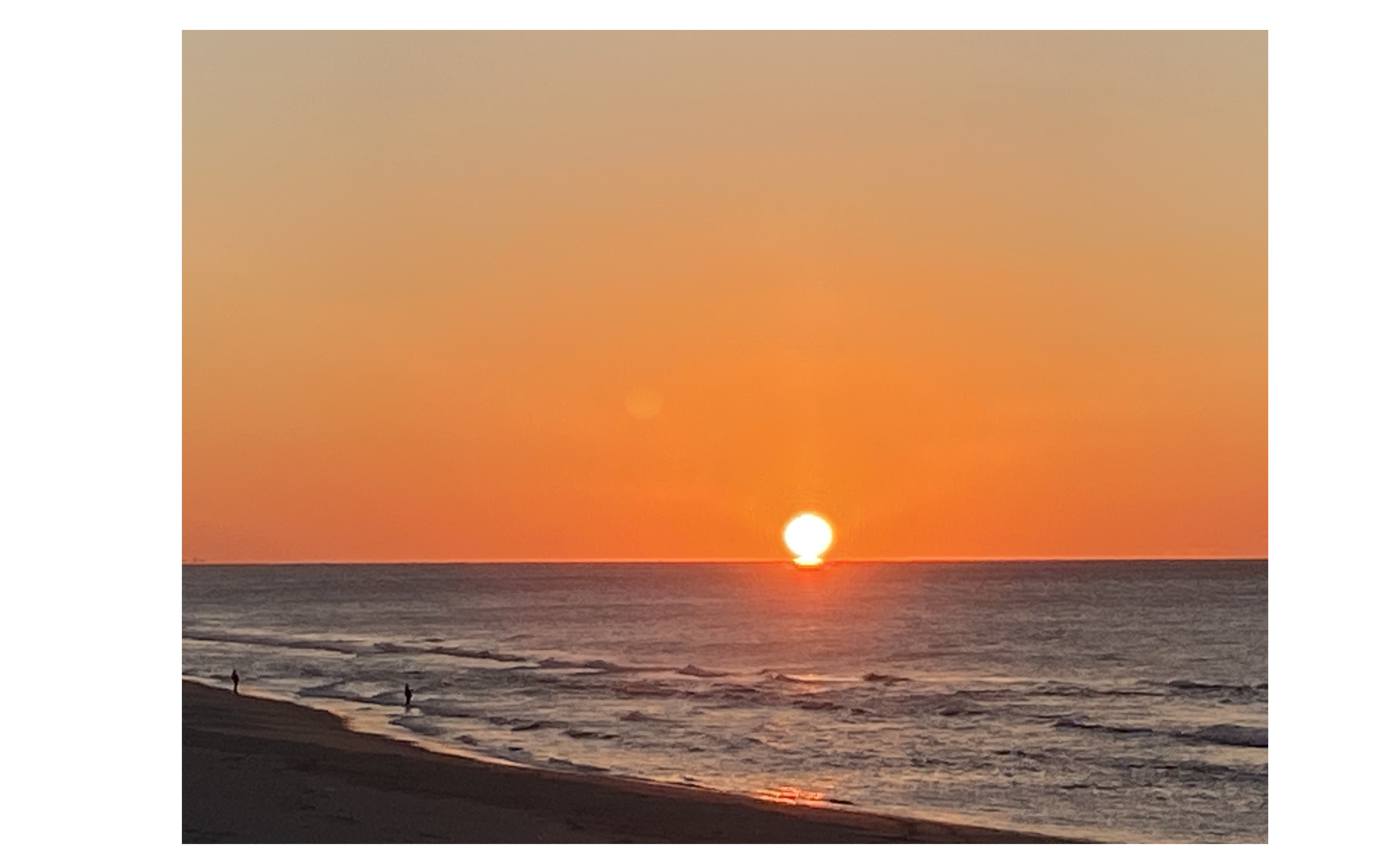 『ダルマ朝日』