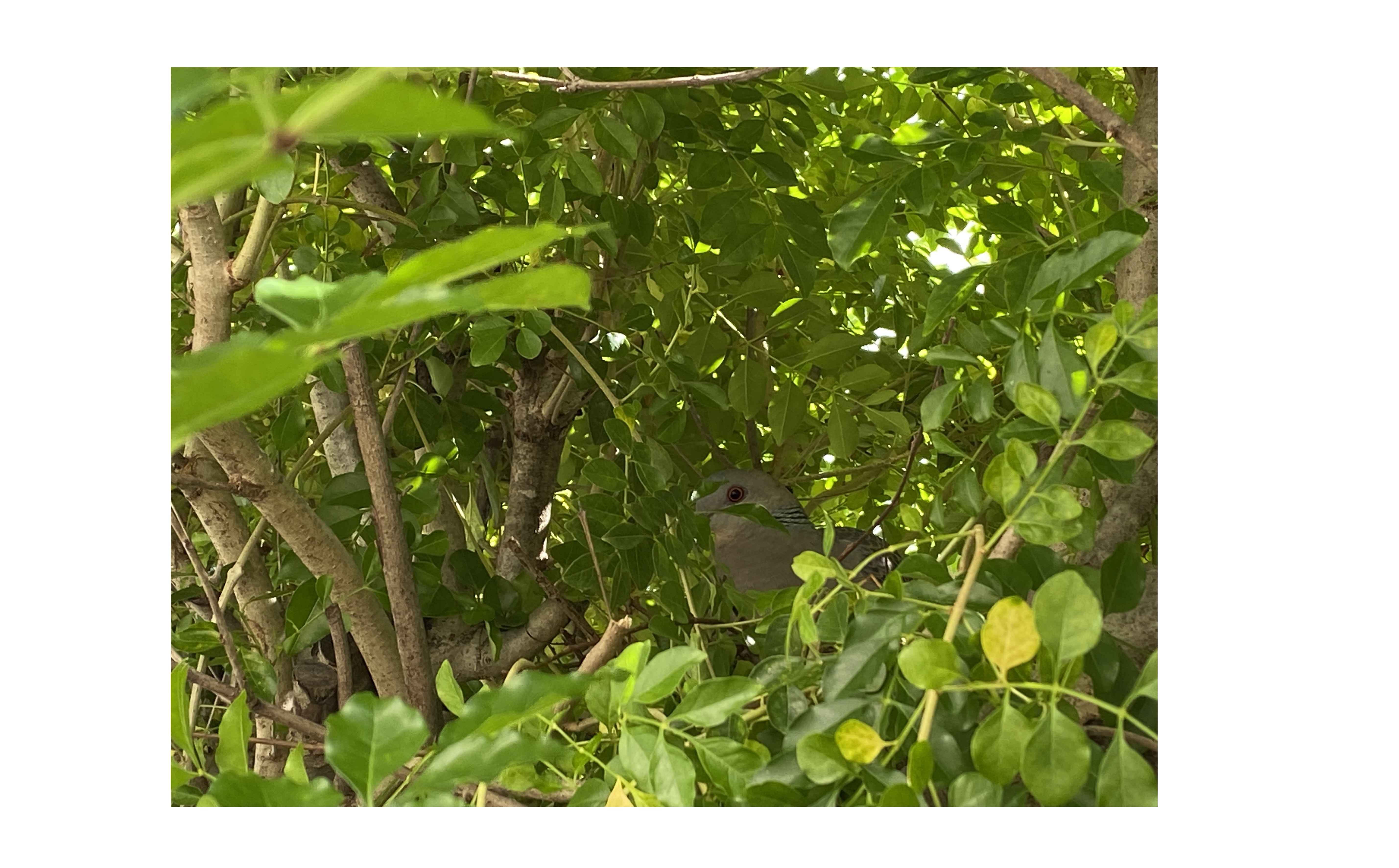 『顧客との良好な関係性』