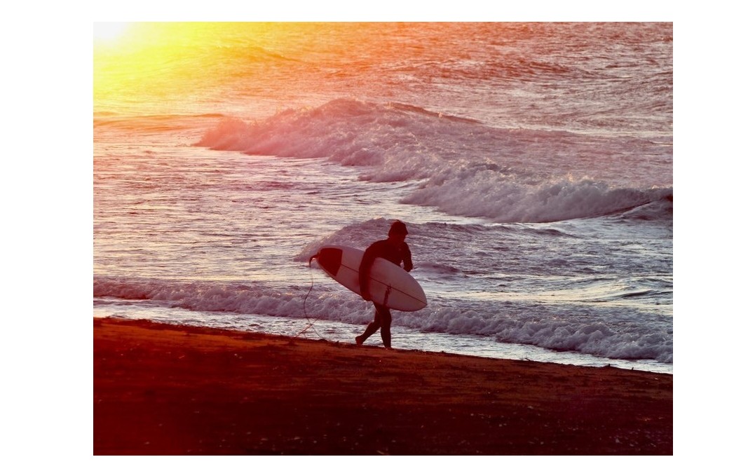 『３つの自由』