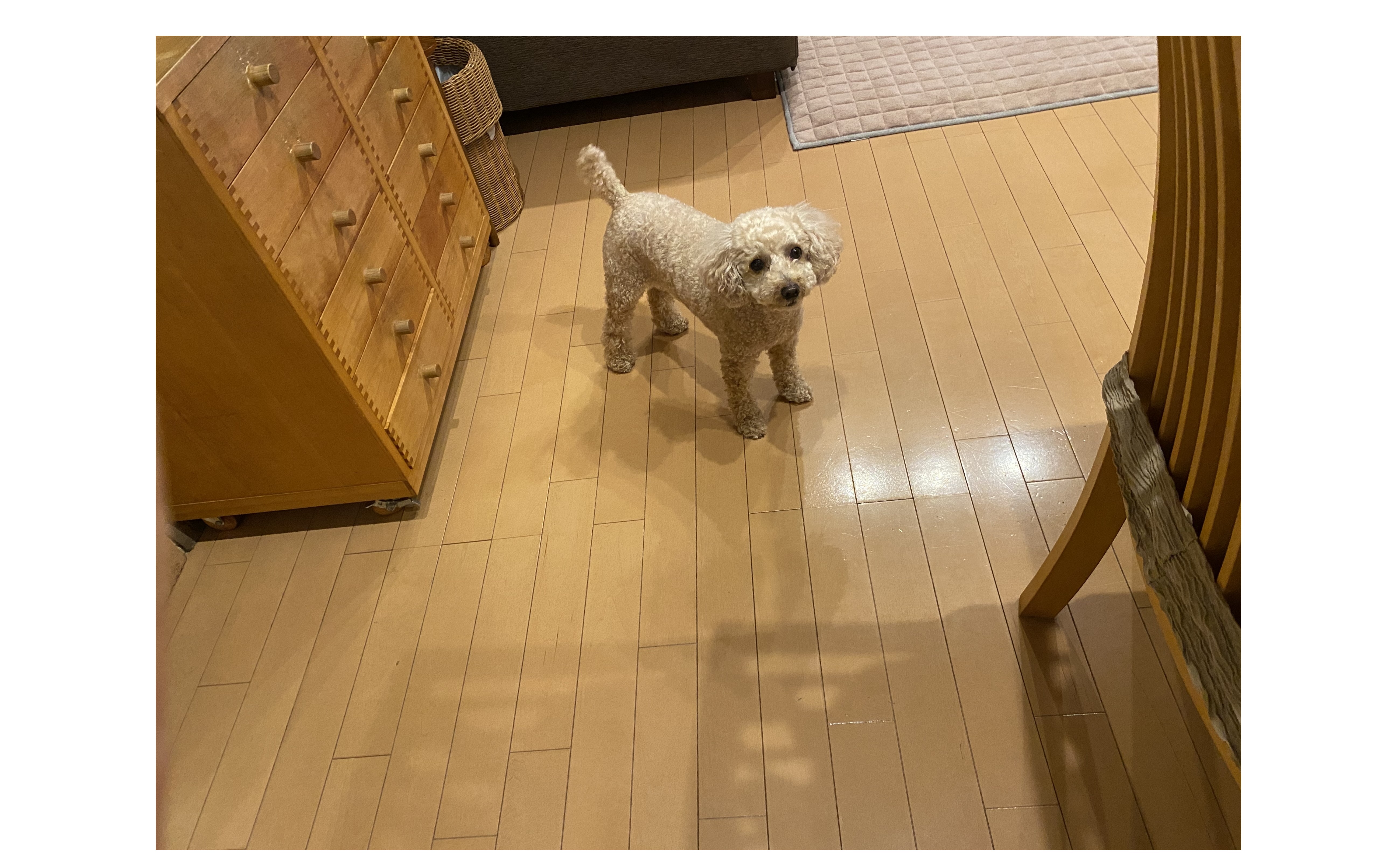 『介護を考える』