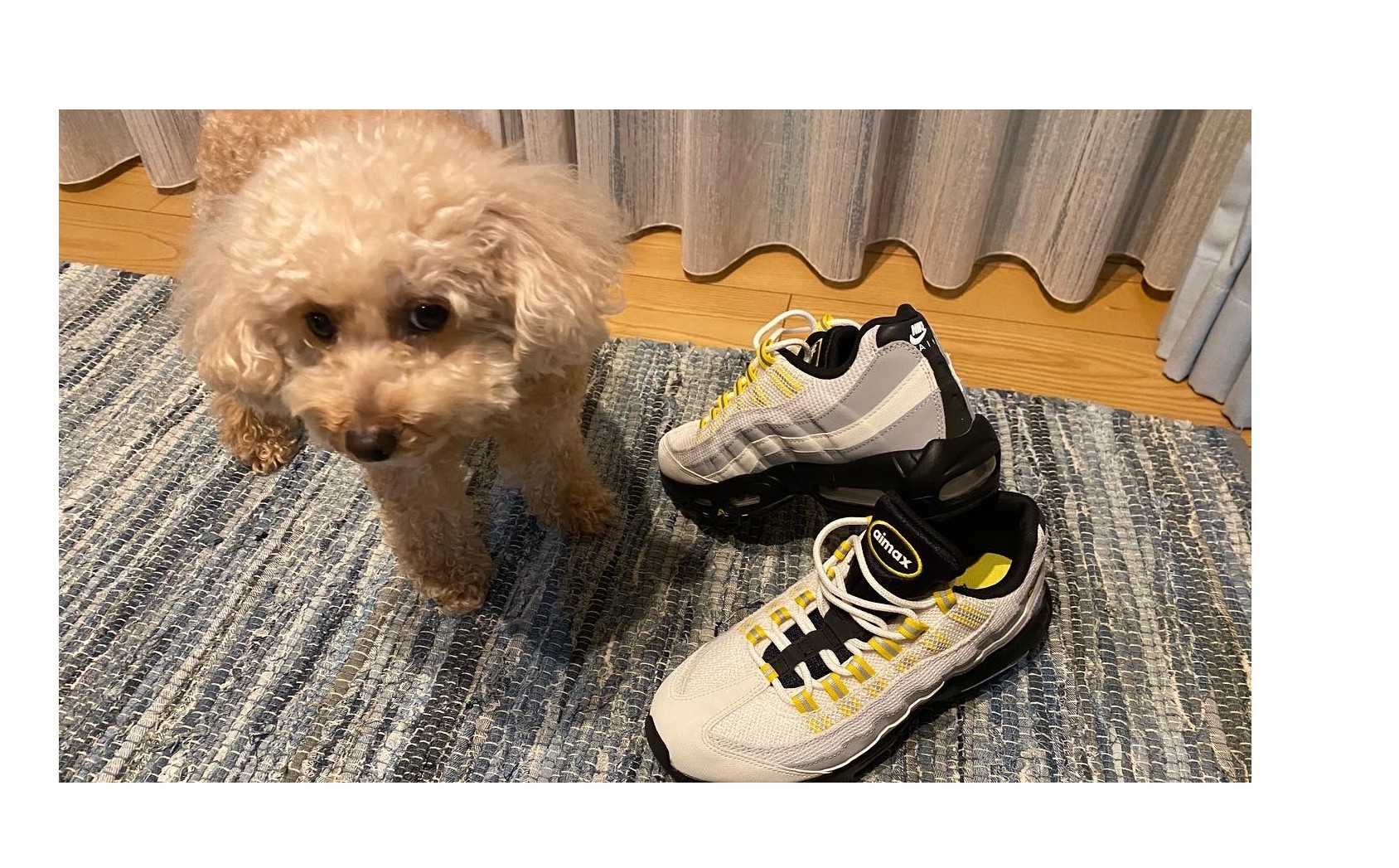 『イエローMAX９５』