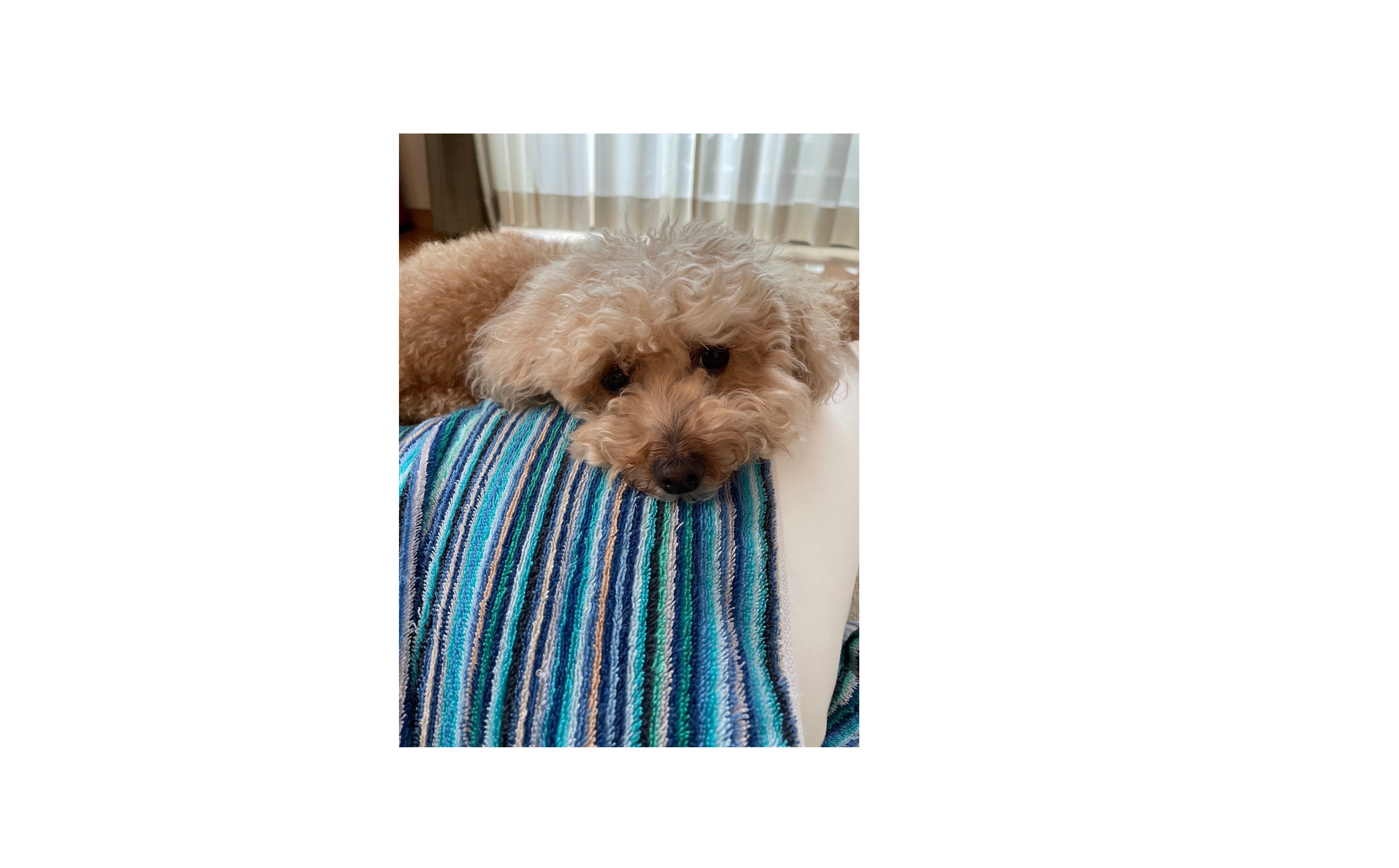 『組織が動きだす時』