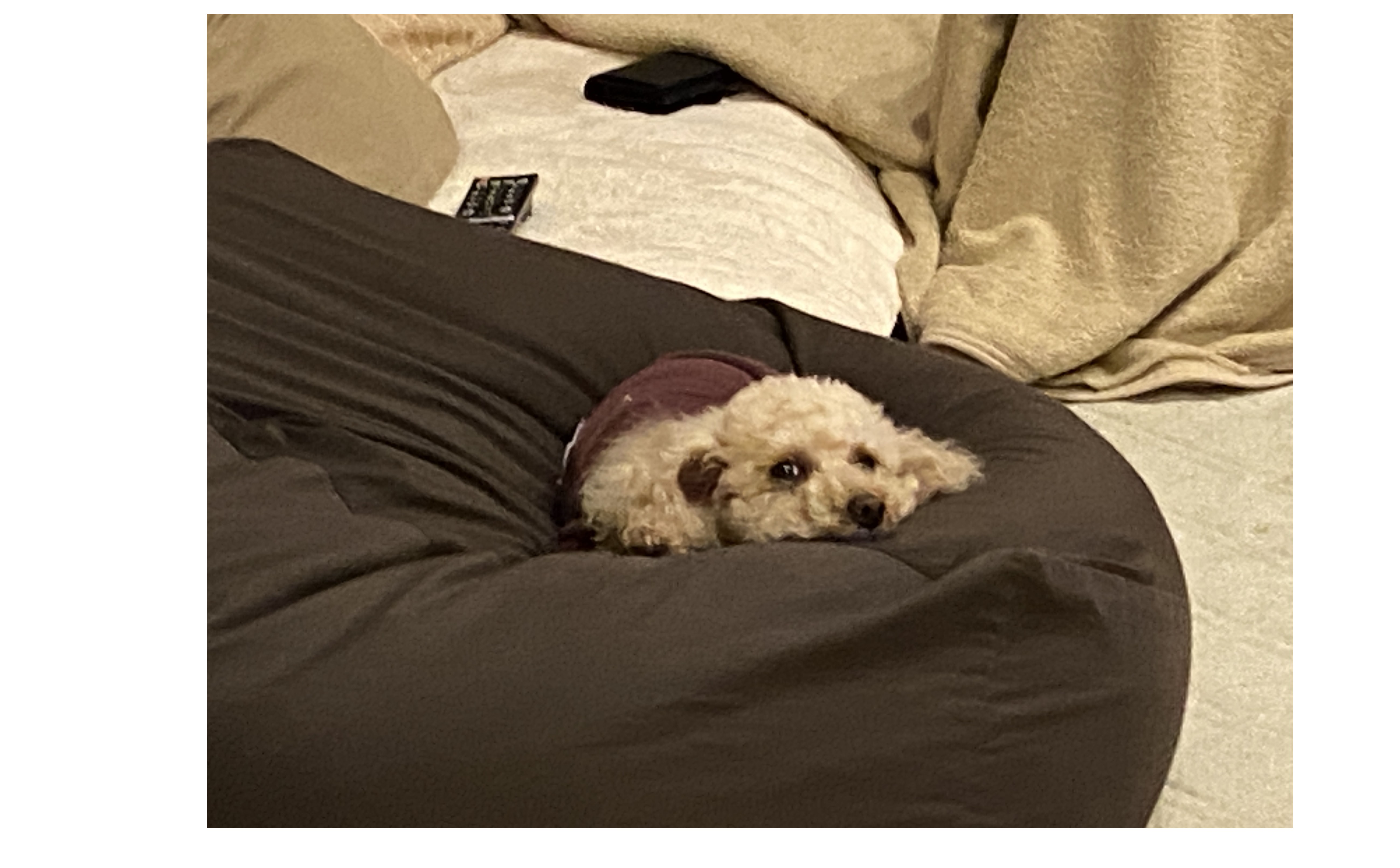 『どんな社員を評価するか』