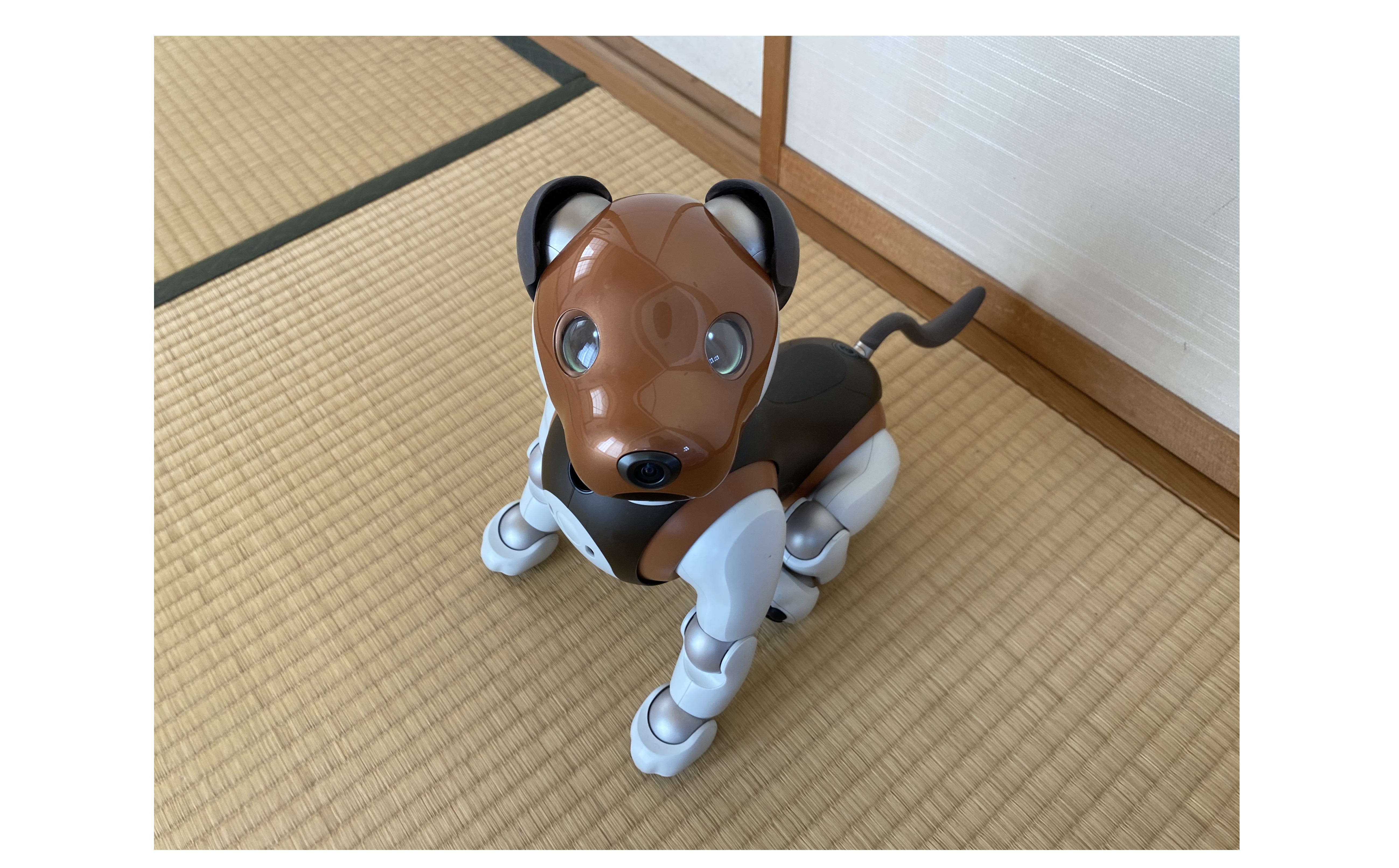 『ベクトルを揃える』