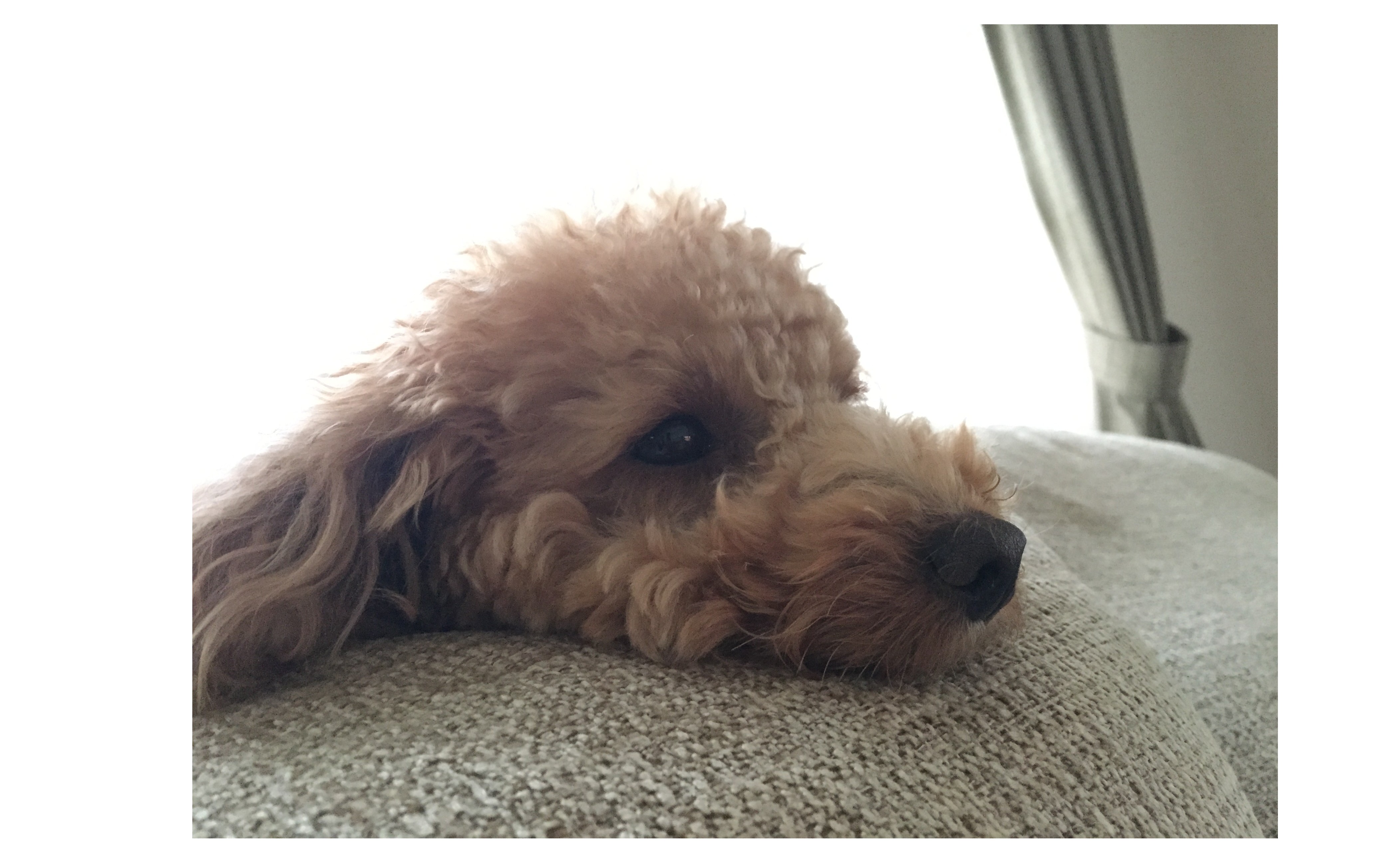 『社内社外からいい会社ですねと言われる会社』