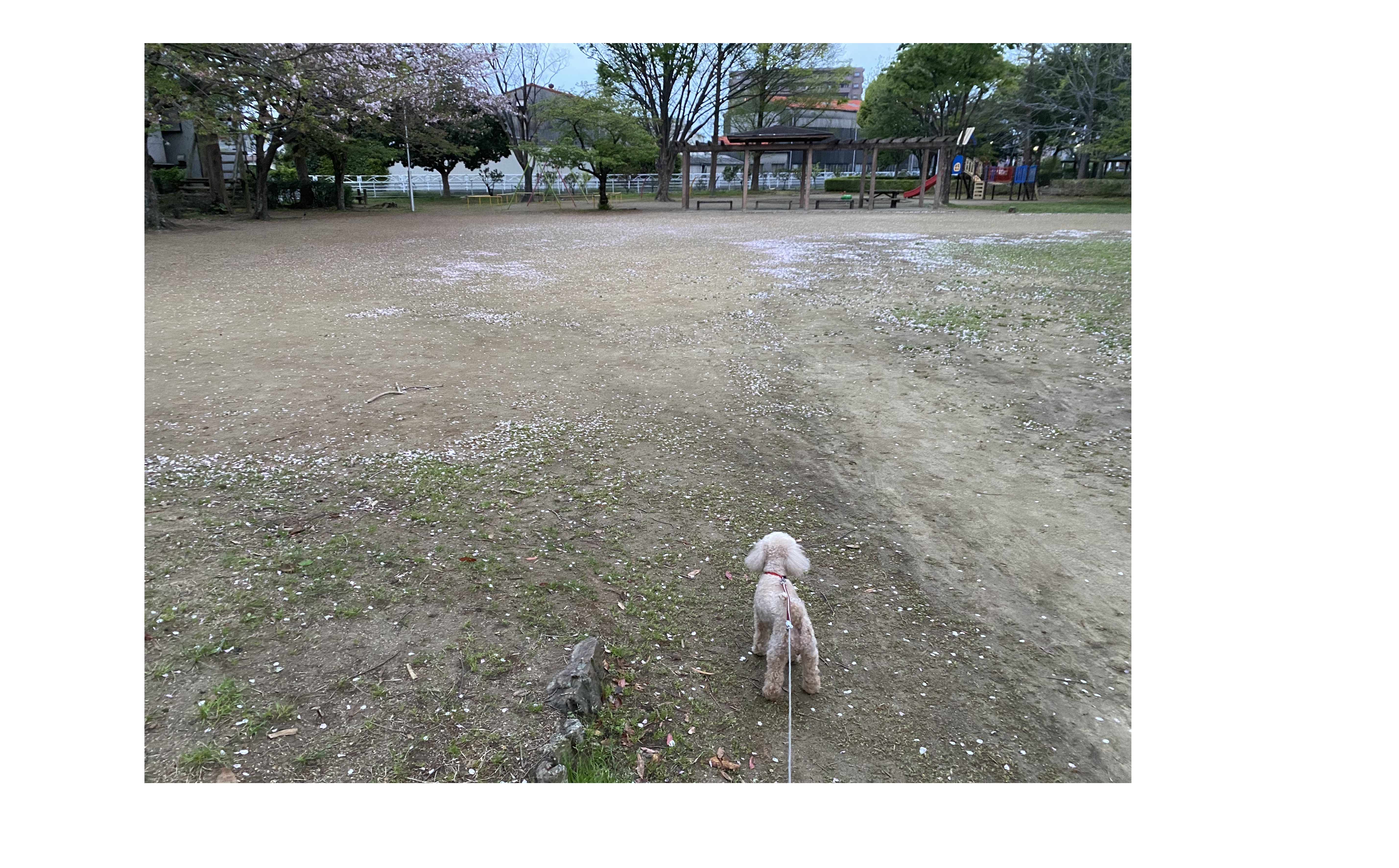 『顧客志向の本質』