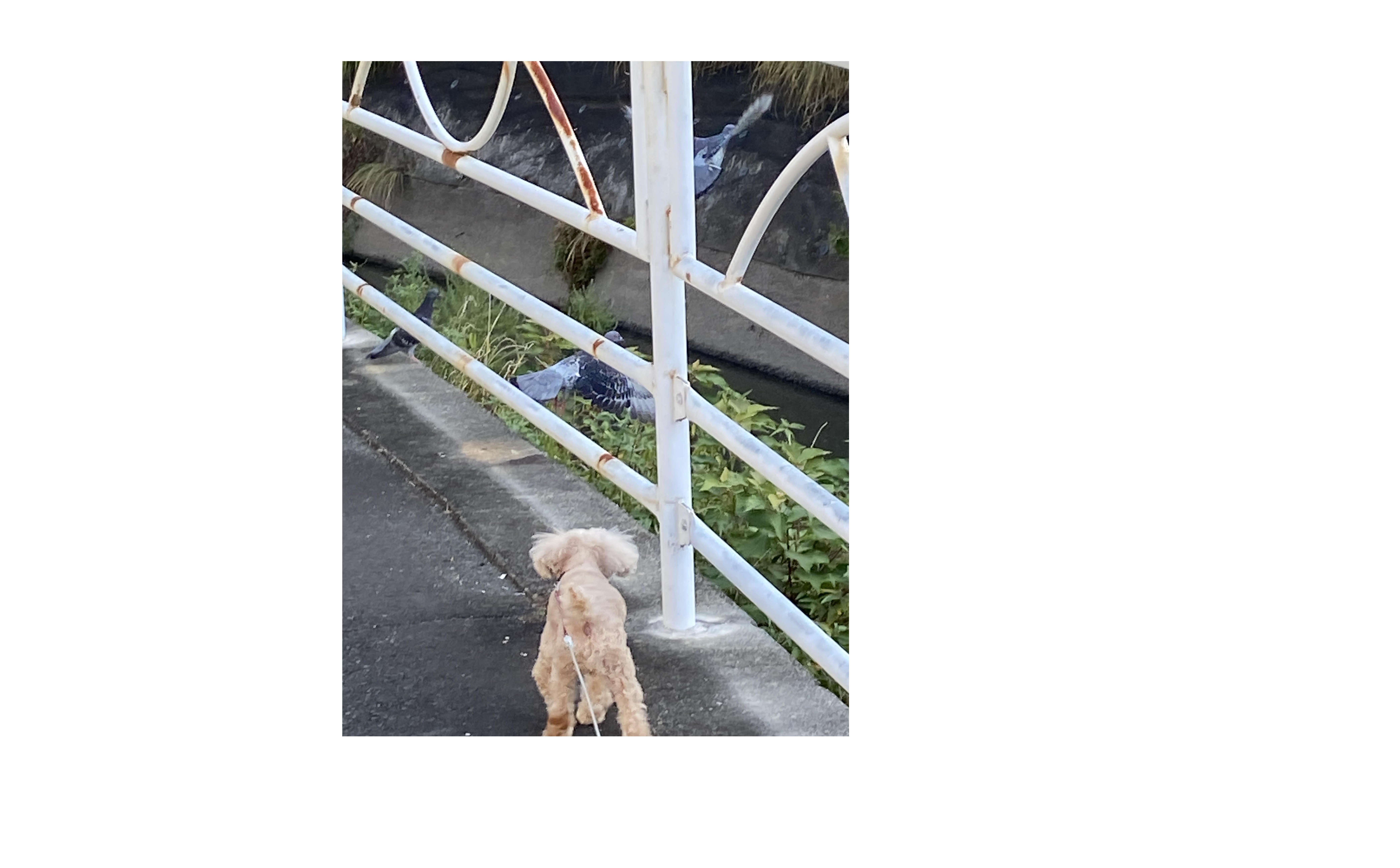 『仕事が成功する条件』