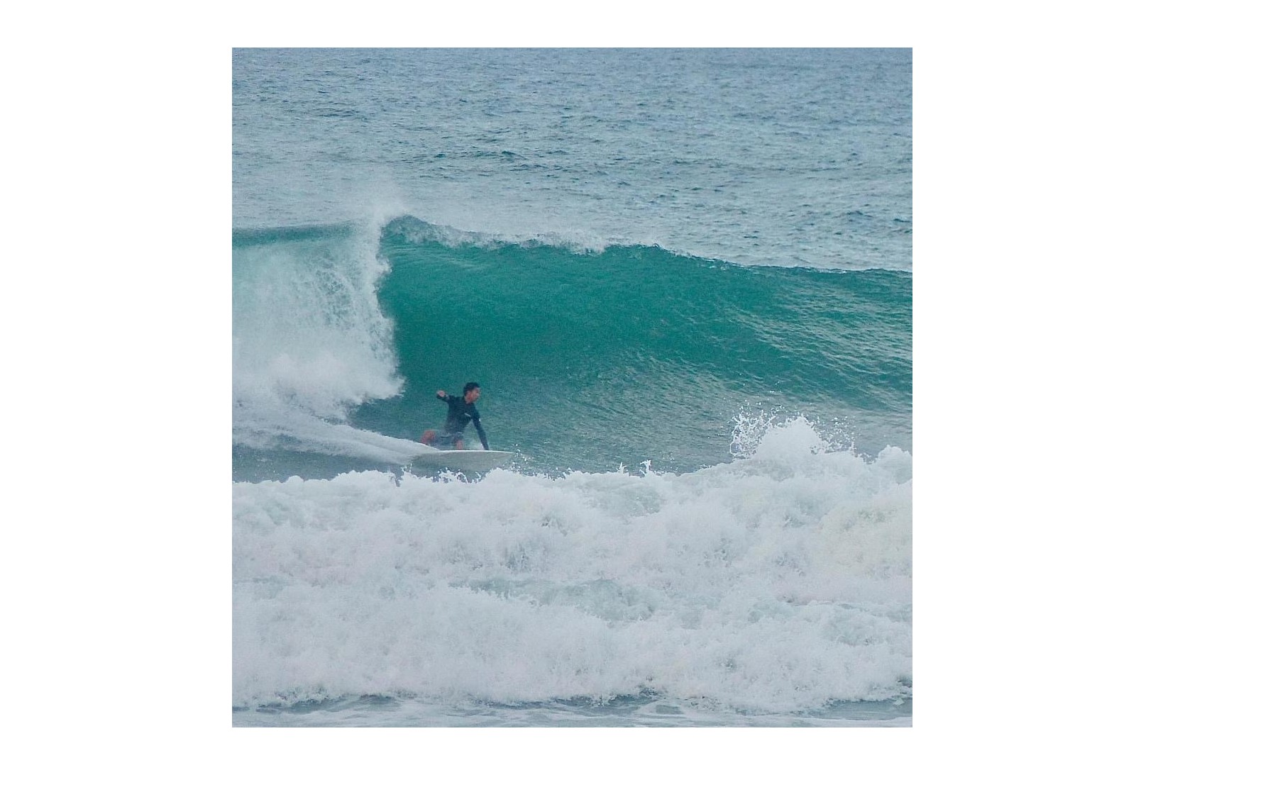 『今年の夏休み』