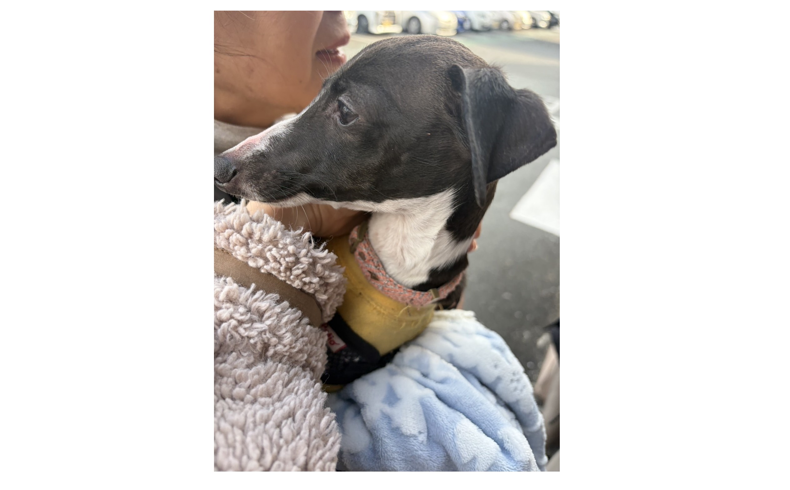 『SNSの使い方』