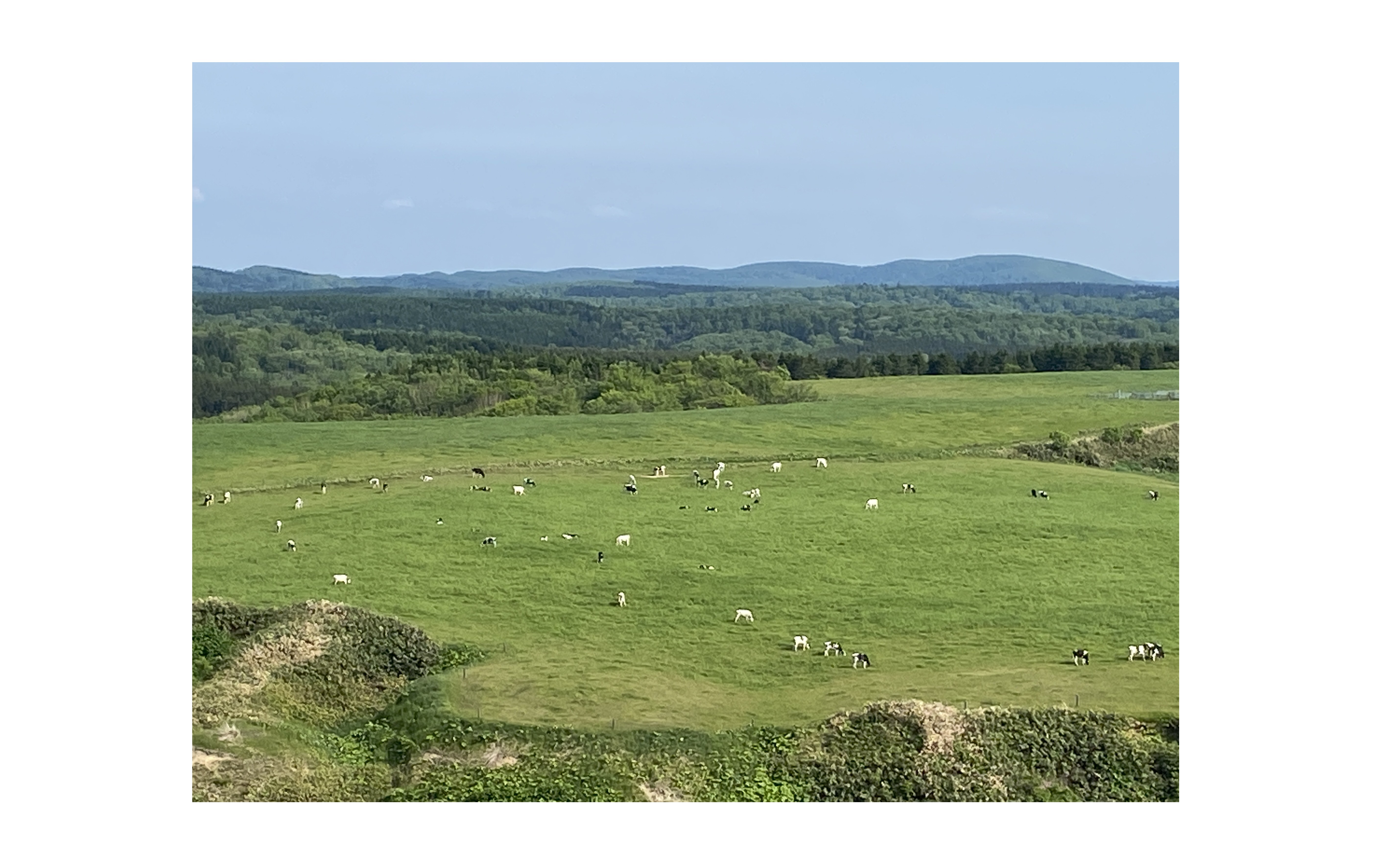 『夏の日本の最北端』