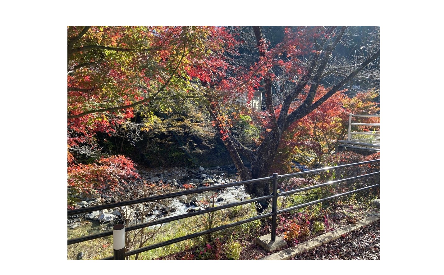 『そうだ　おきよめ、　行こう。』