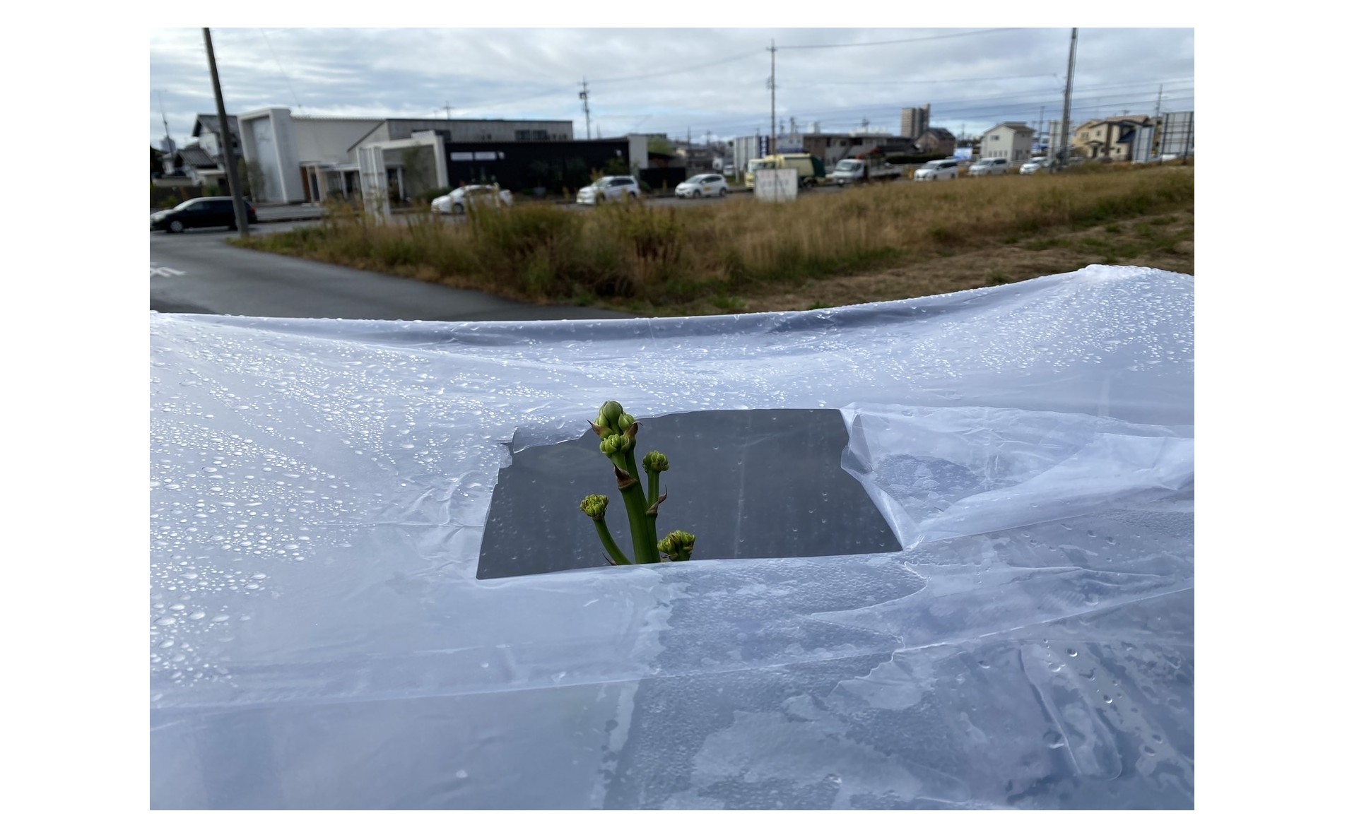 『チームでお仕事のレベルを上げる』