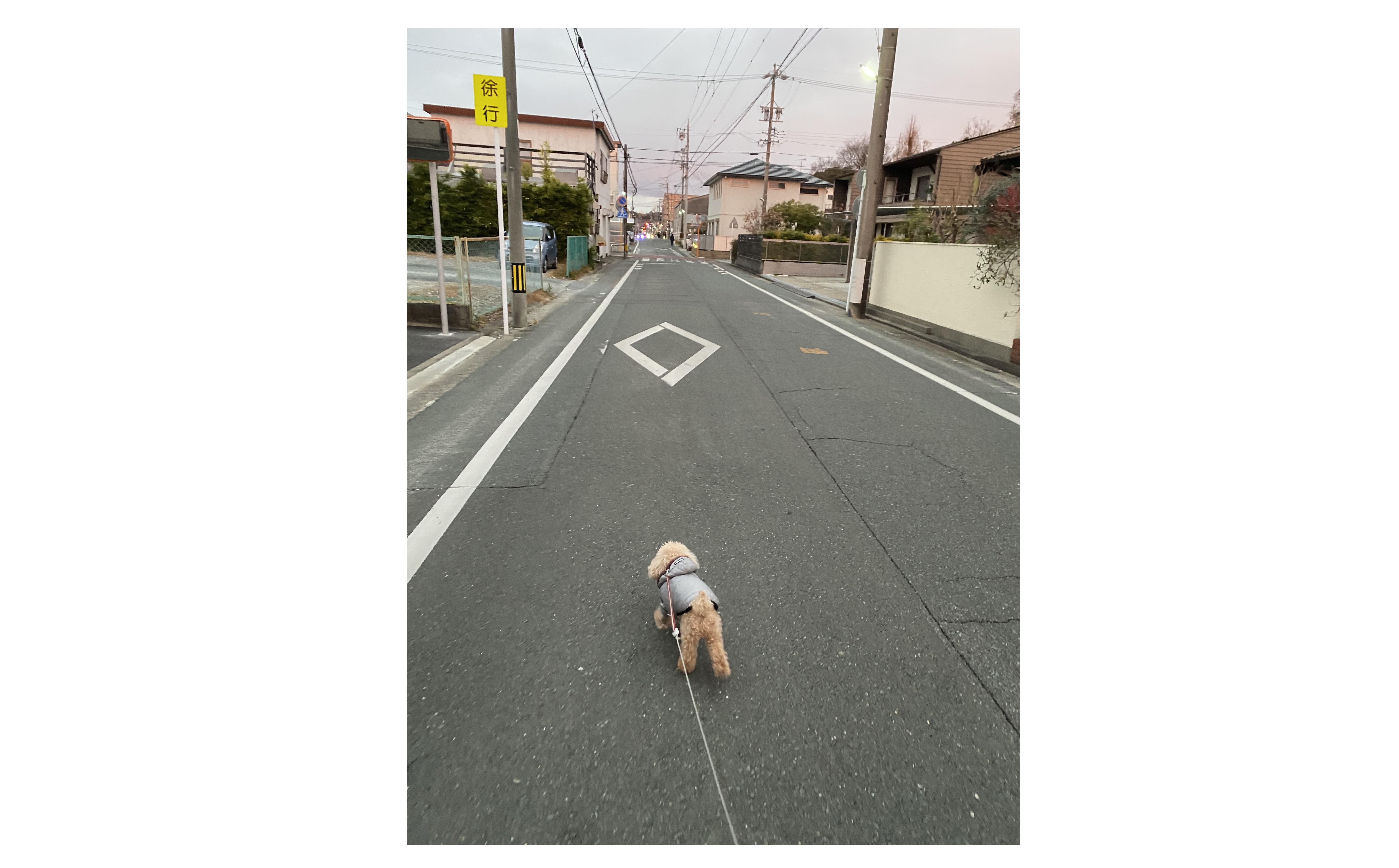 『頼りにしてます！』