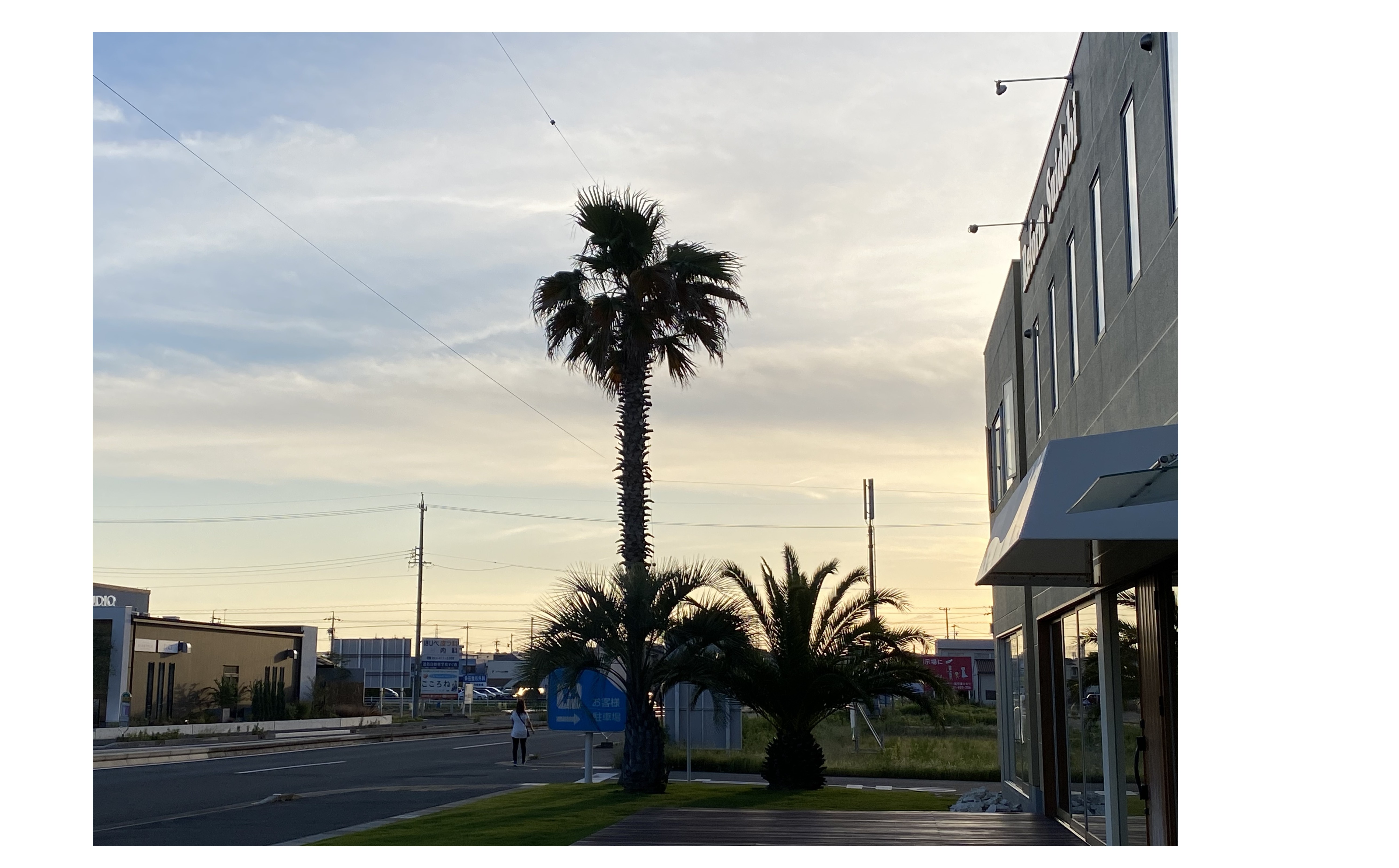 『ベクトルの揃え方』