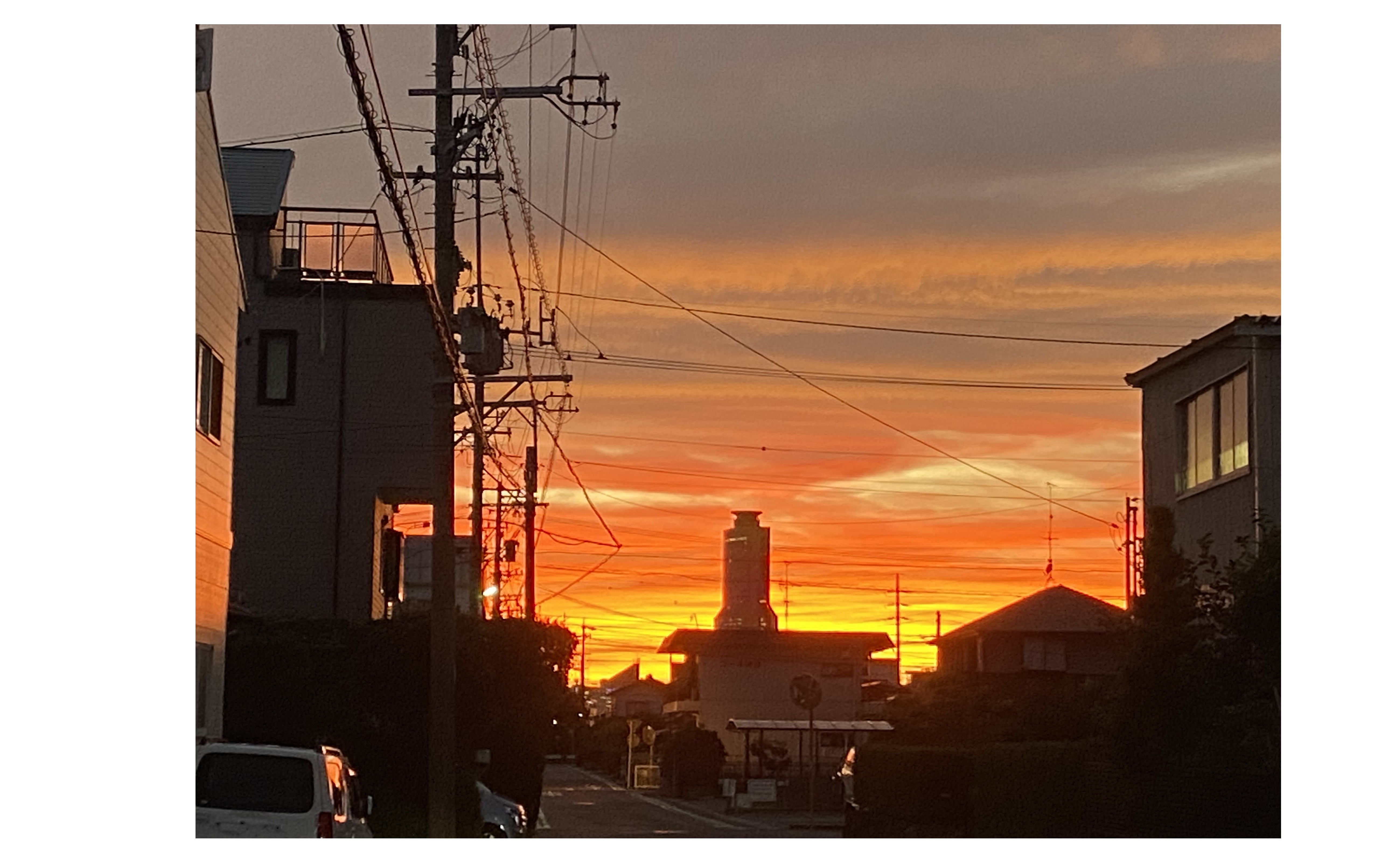 『台風の置き土産』