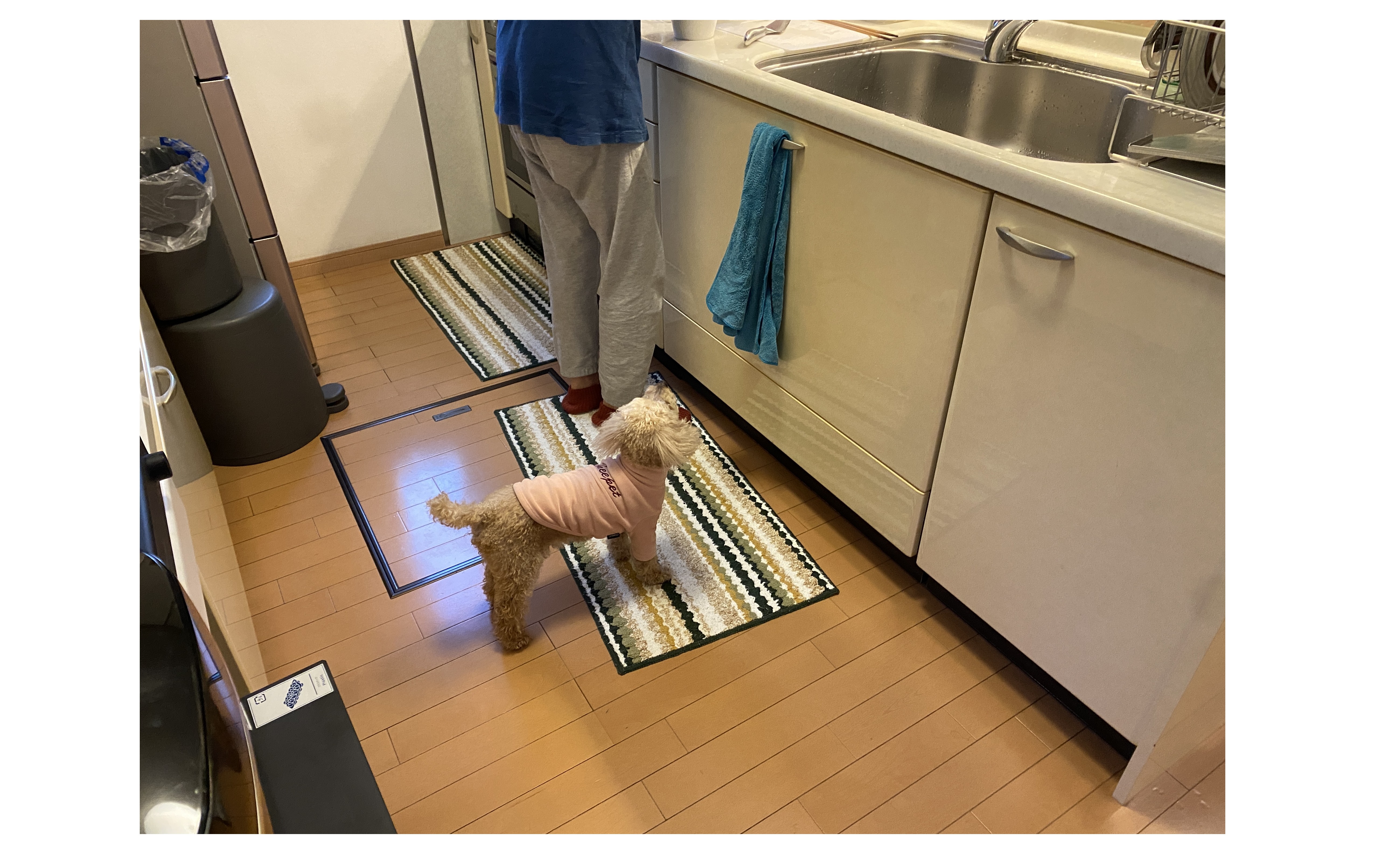 『チームワークが出す効果』