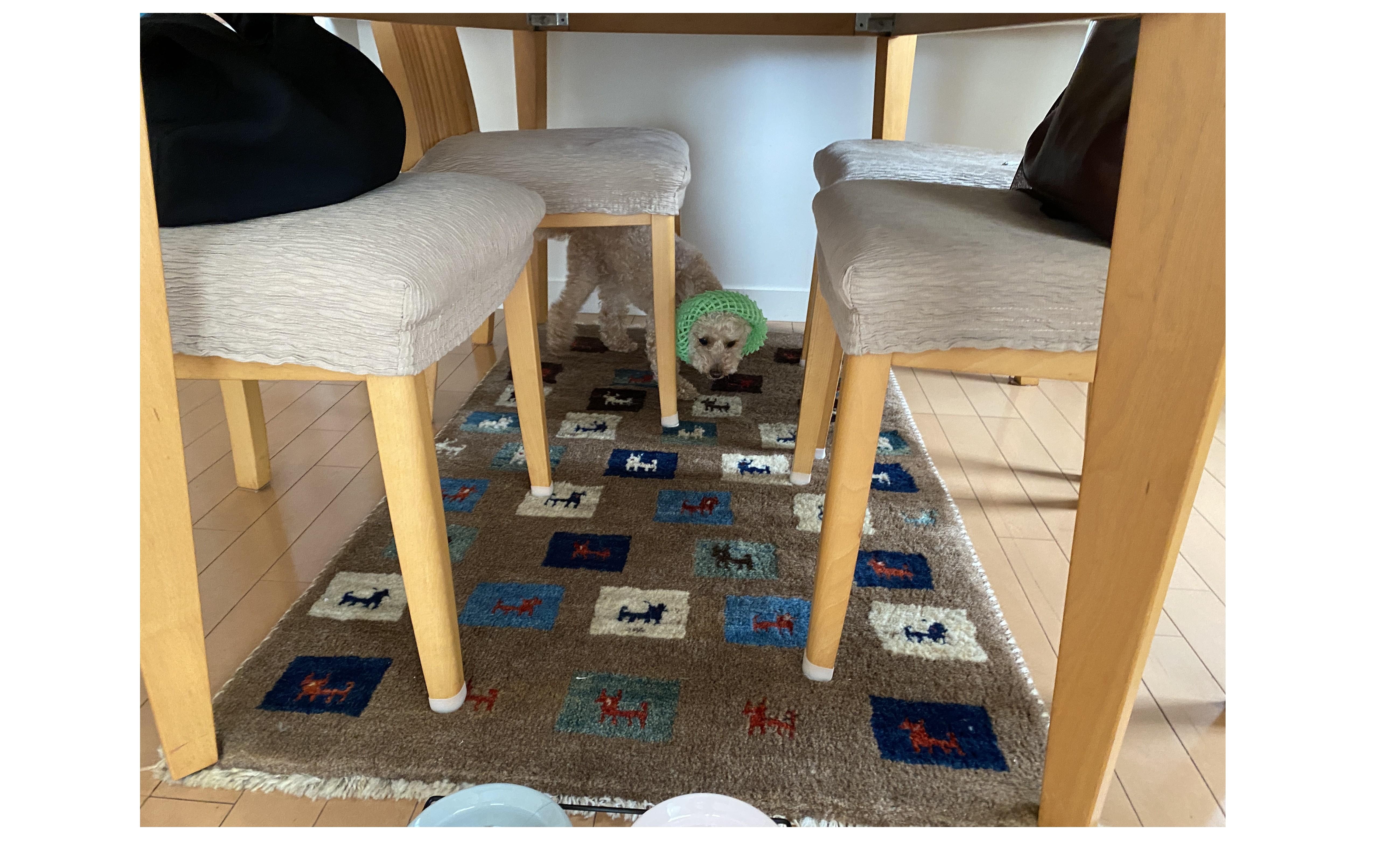 『ニット帽(笑)』