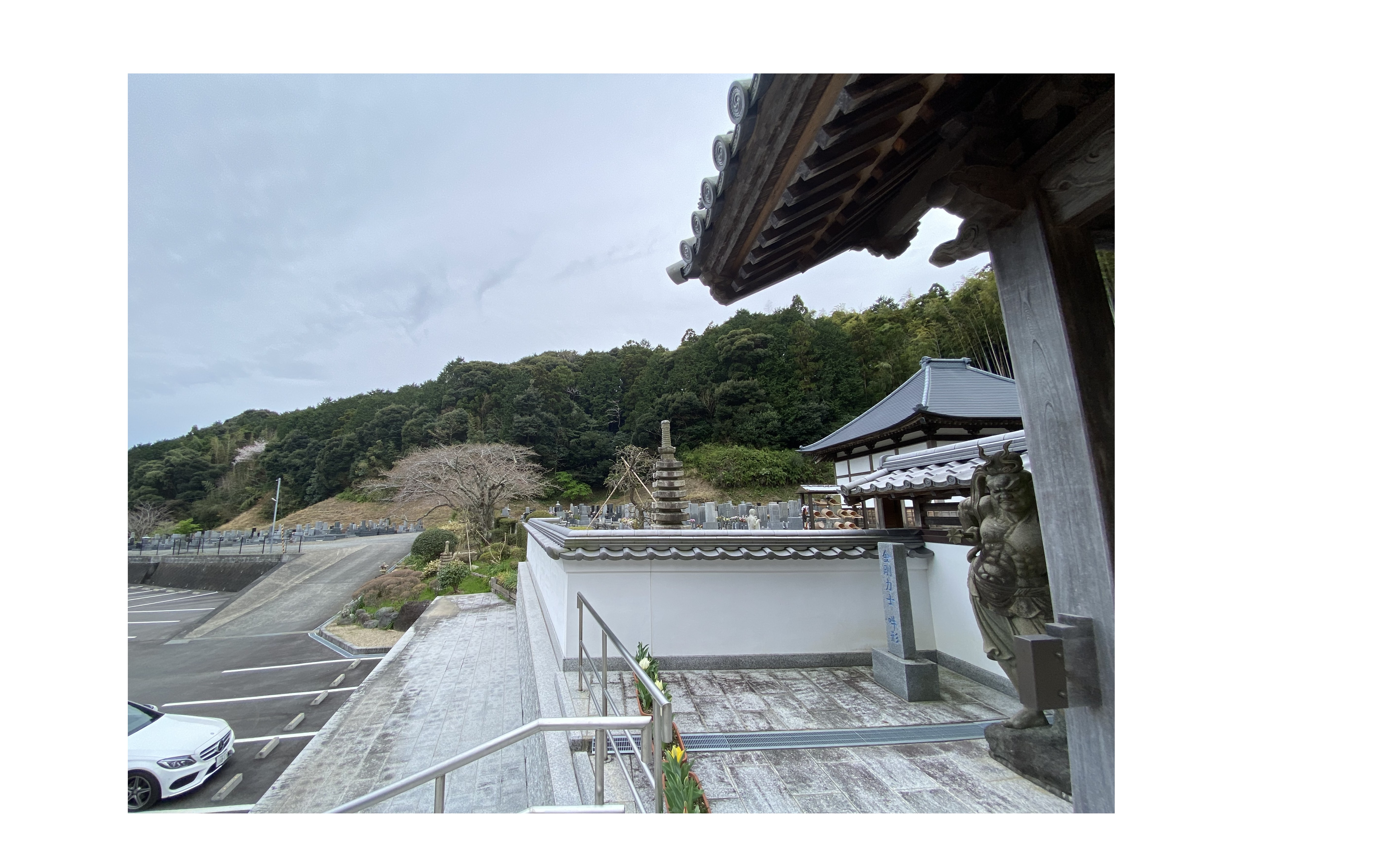 『お金を出して自分の為に実験してくれている』