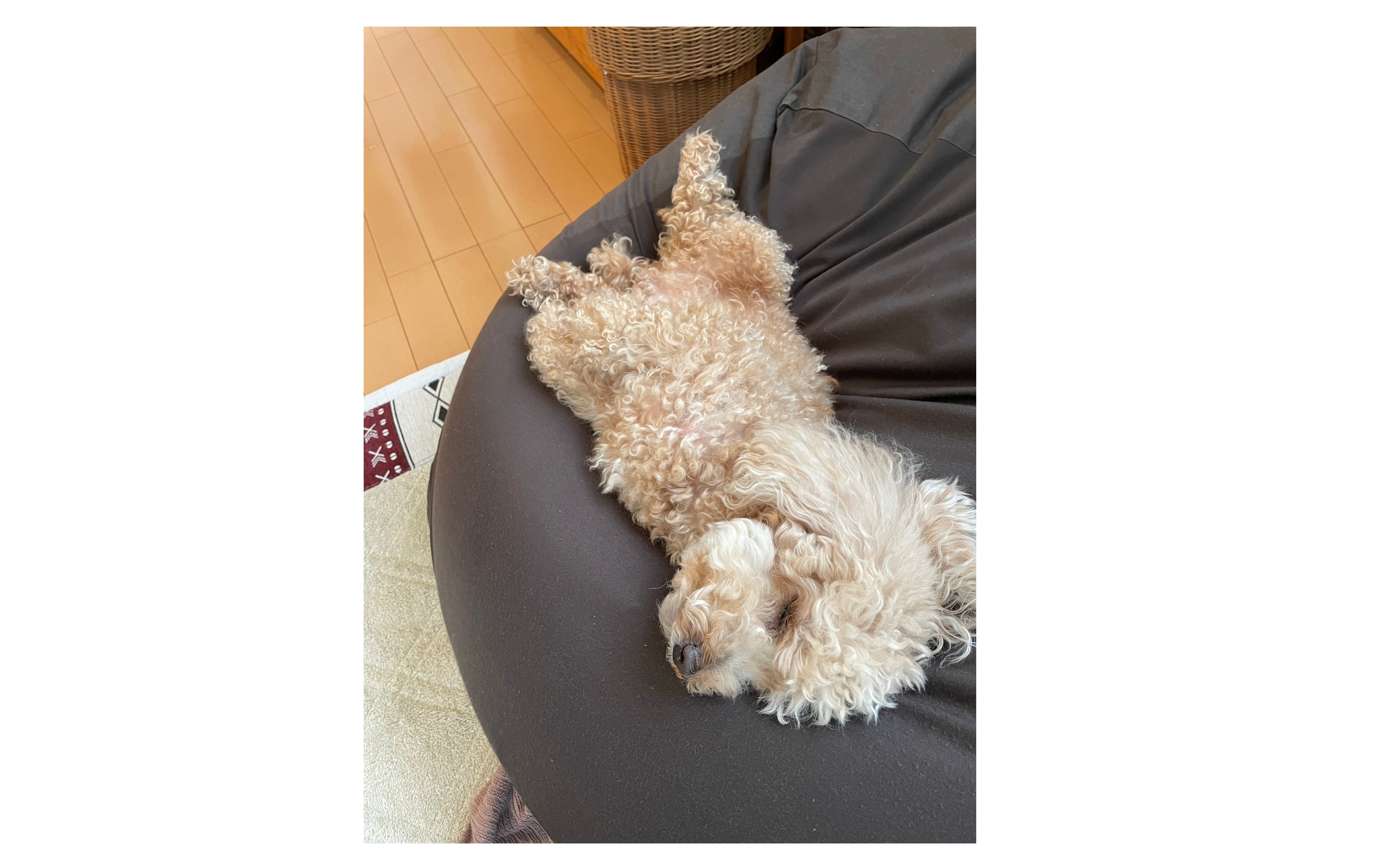 『疲れやすい身体に』