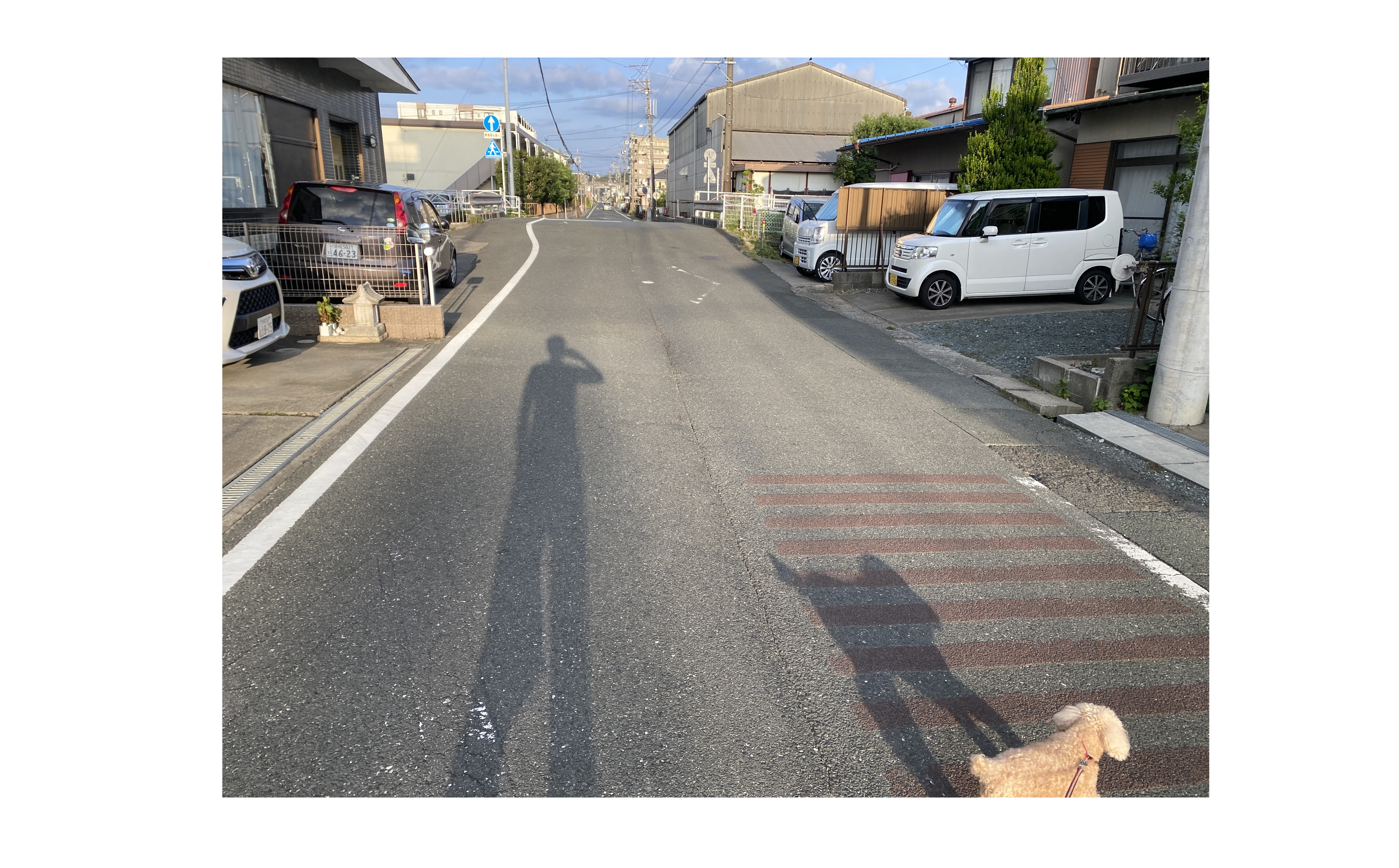 『採用のベクトルを揃える』