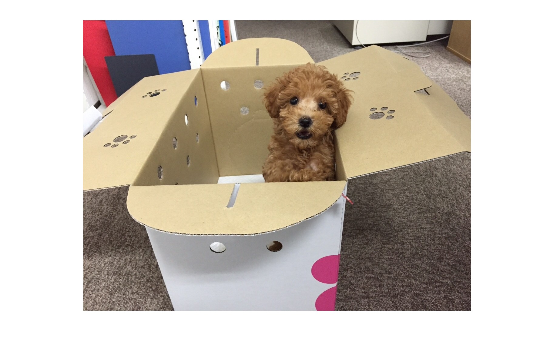 『予断を許さない』