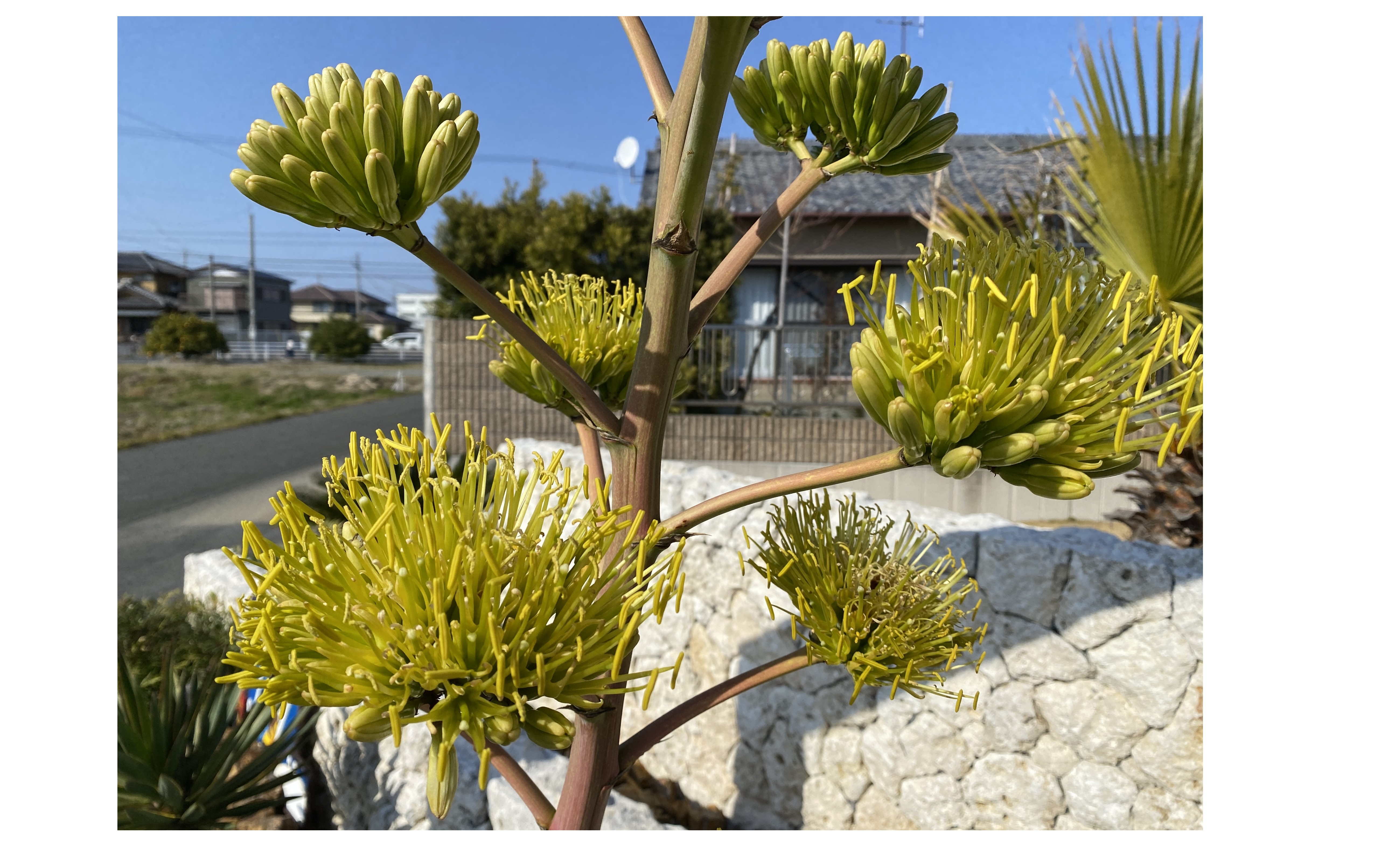 『学生に何をPRするのか』