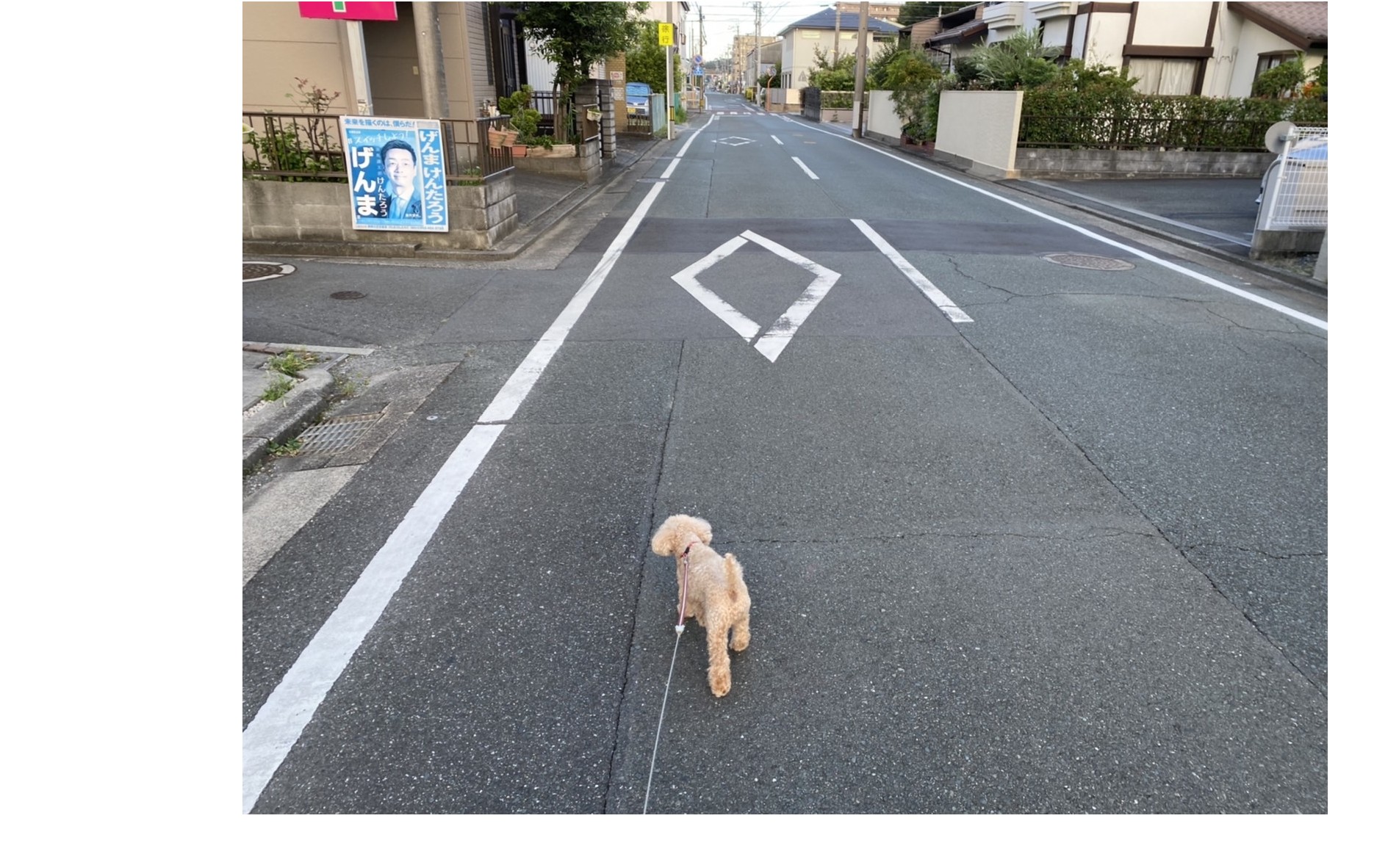 『健康を維持するうえで一番大切なモノは』