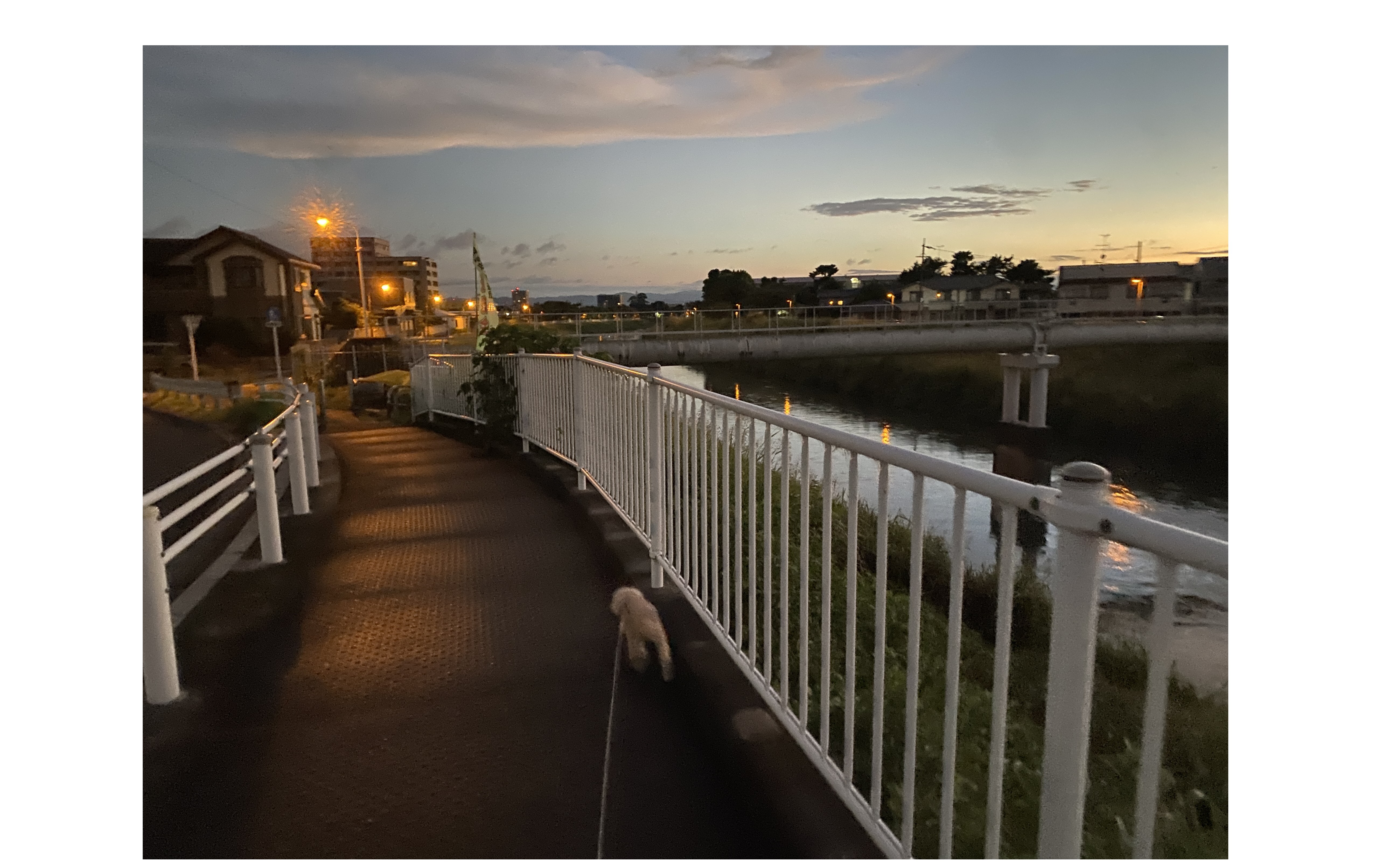 『クレームを大きくする原因』