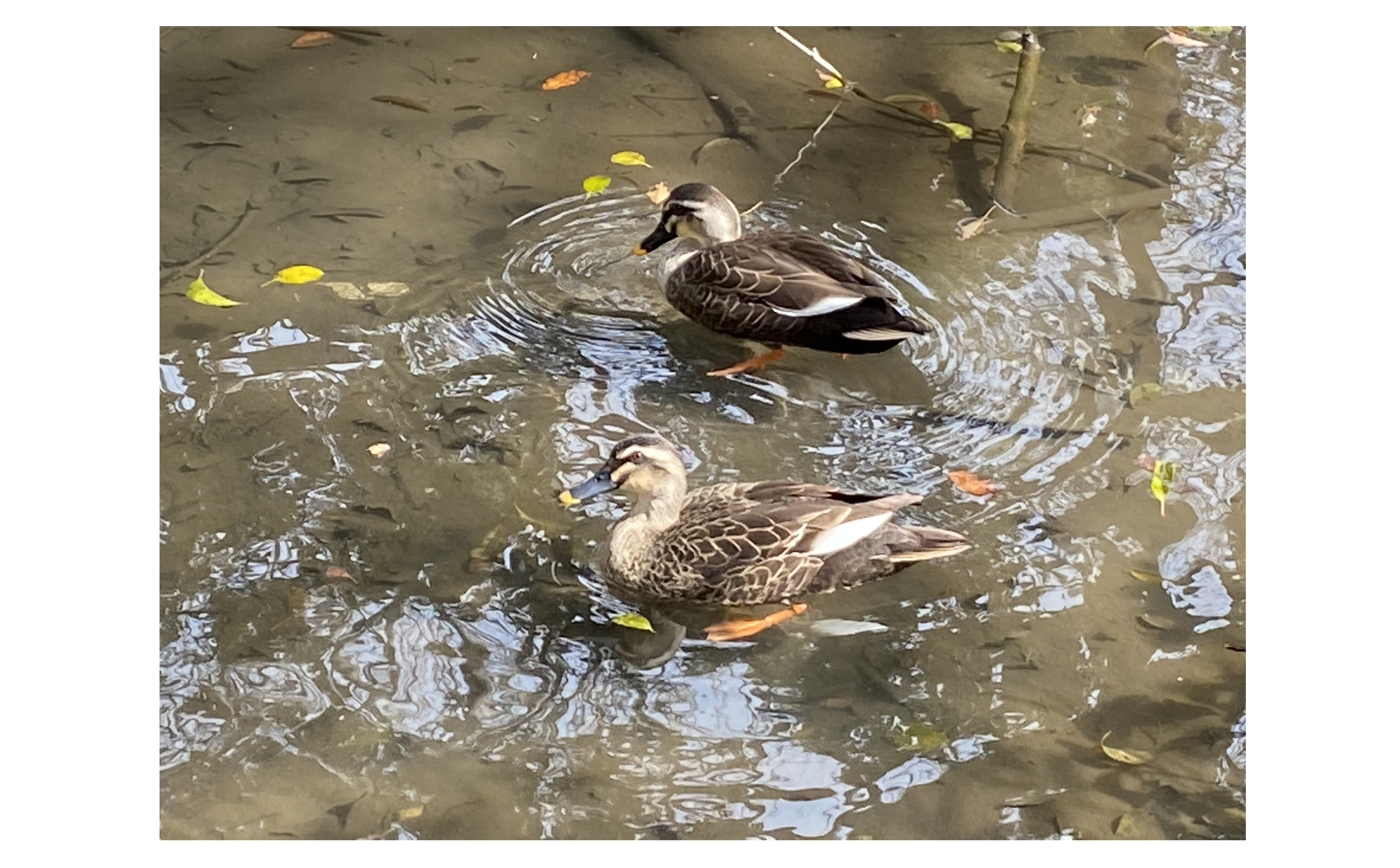 『伝えて終わりにしない』