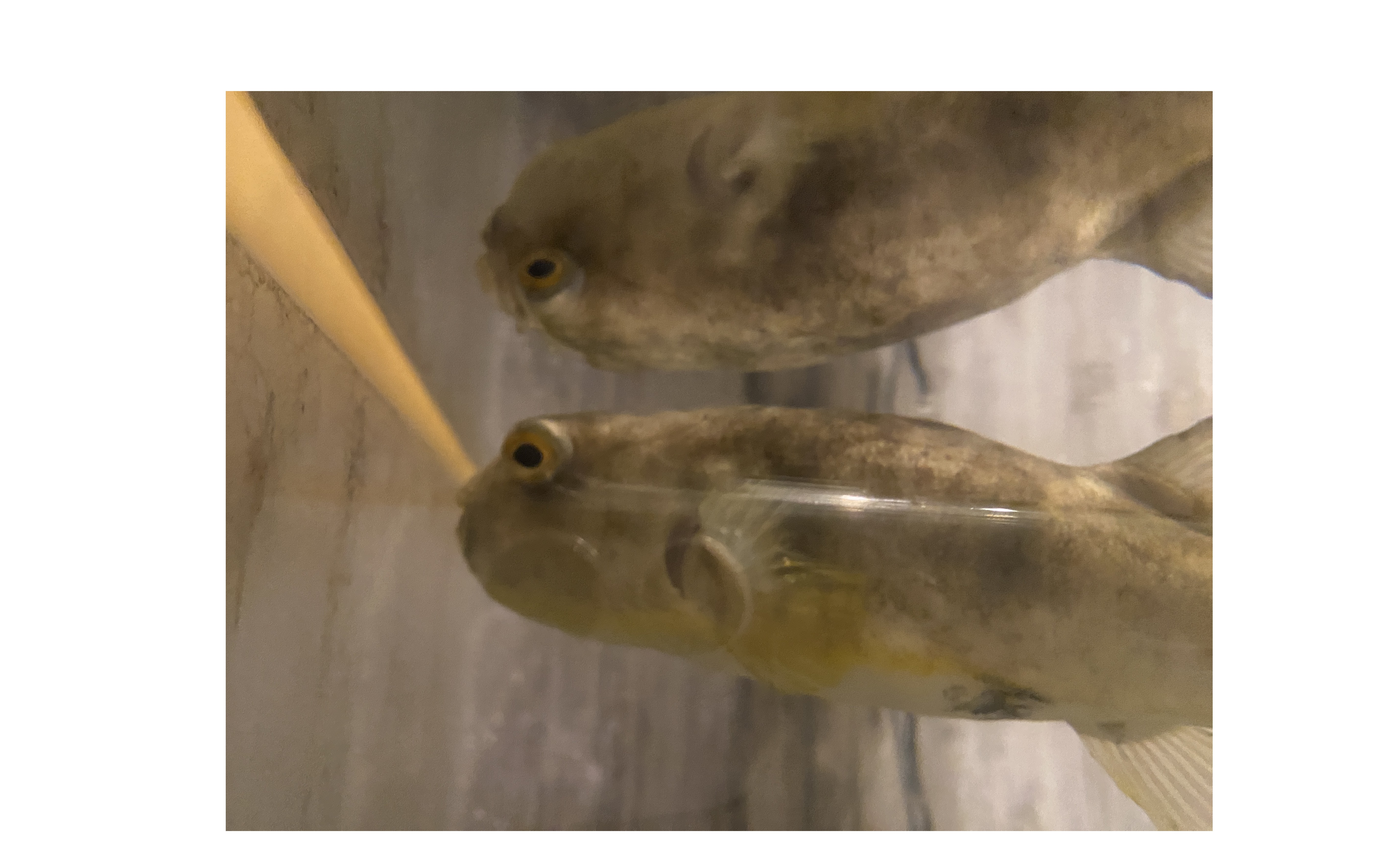 『お客様ファースト』