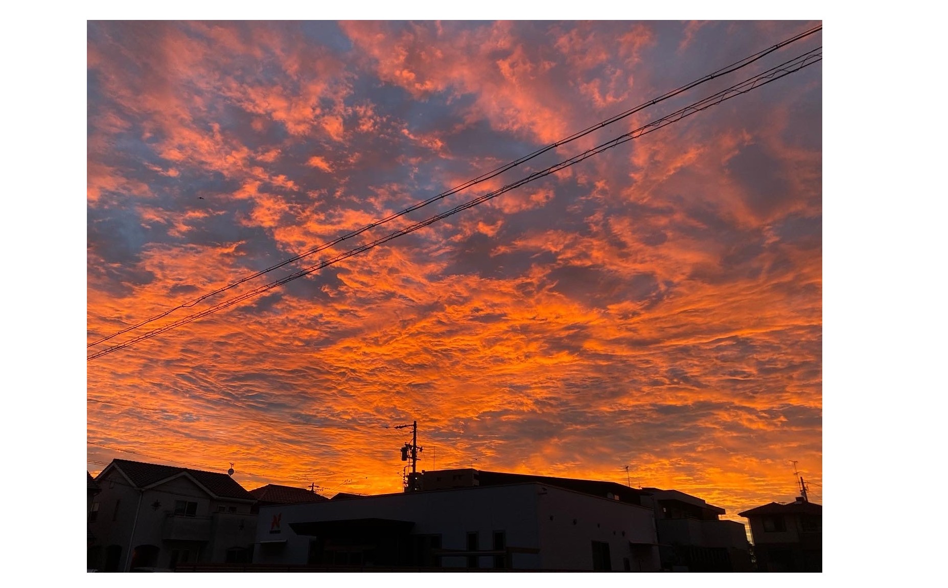 『綺麗な朝焼け』