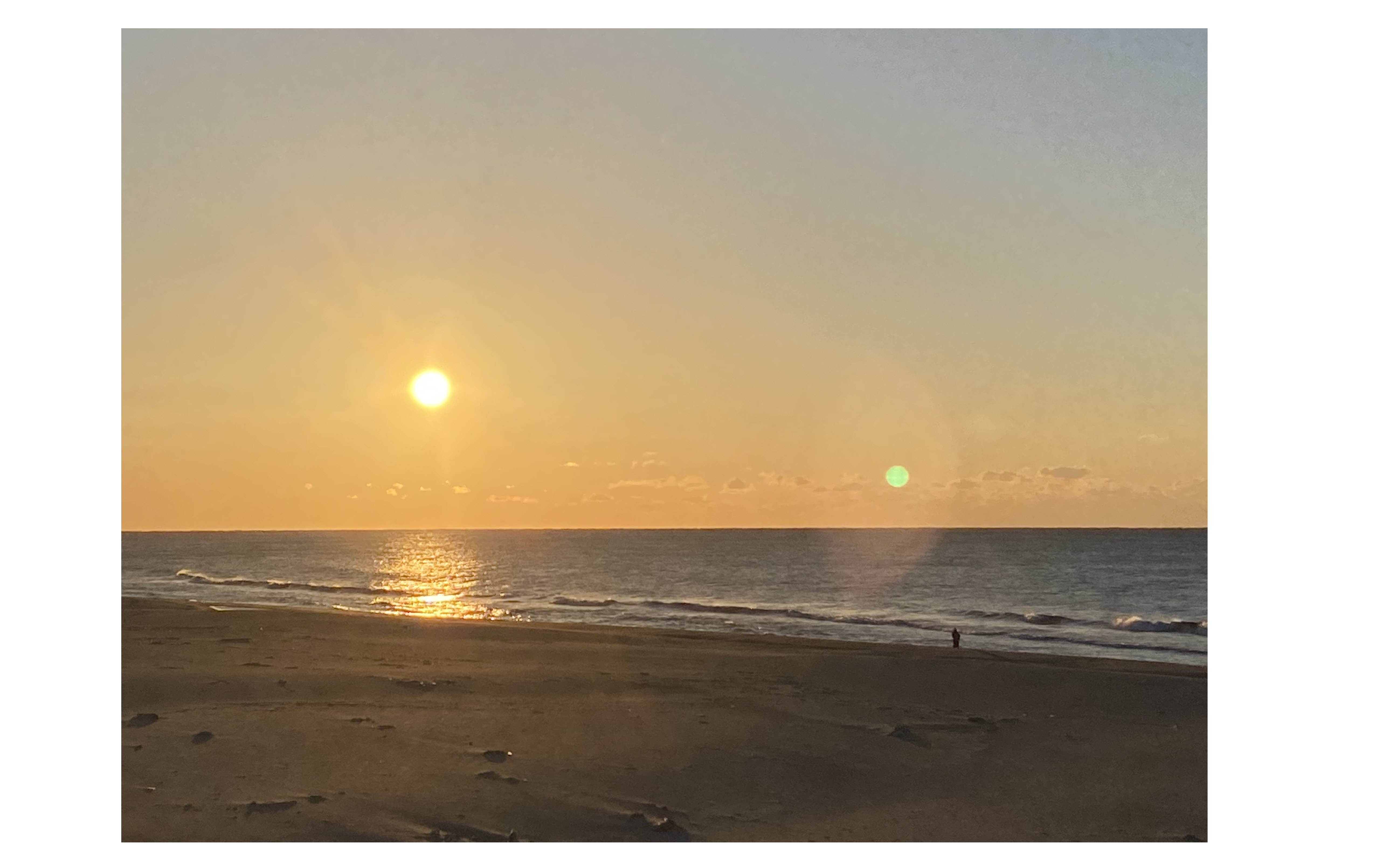 『希望と現実』