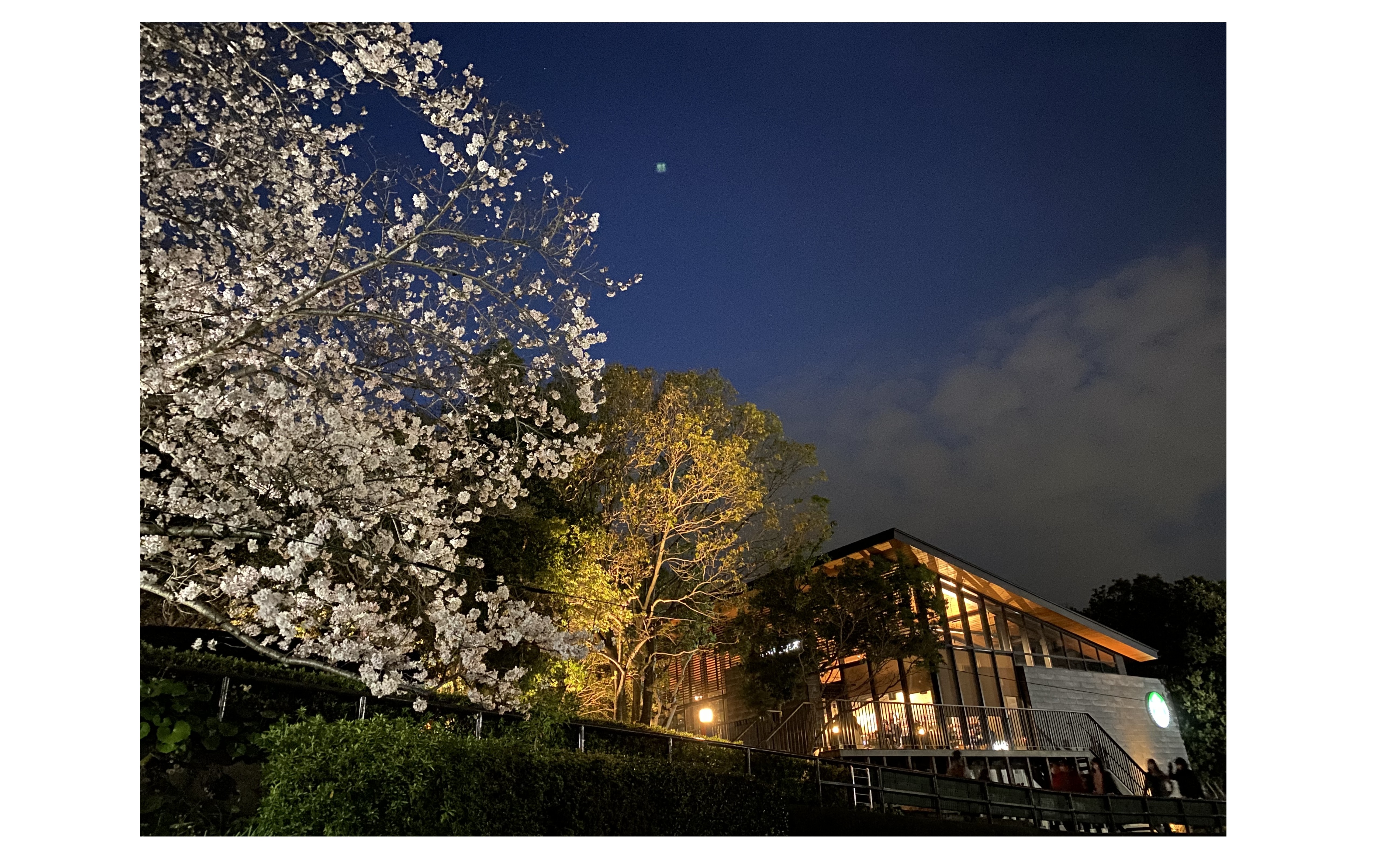 『事業計画発表会』