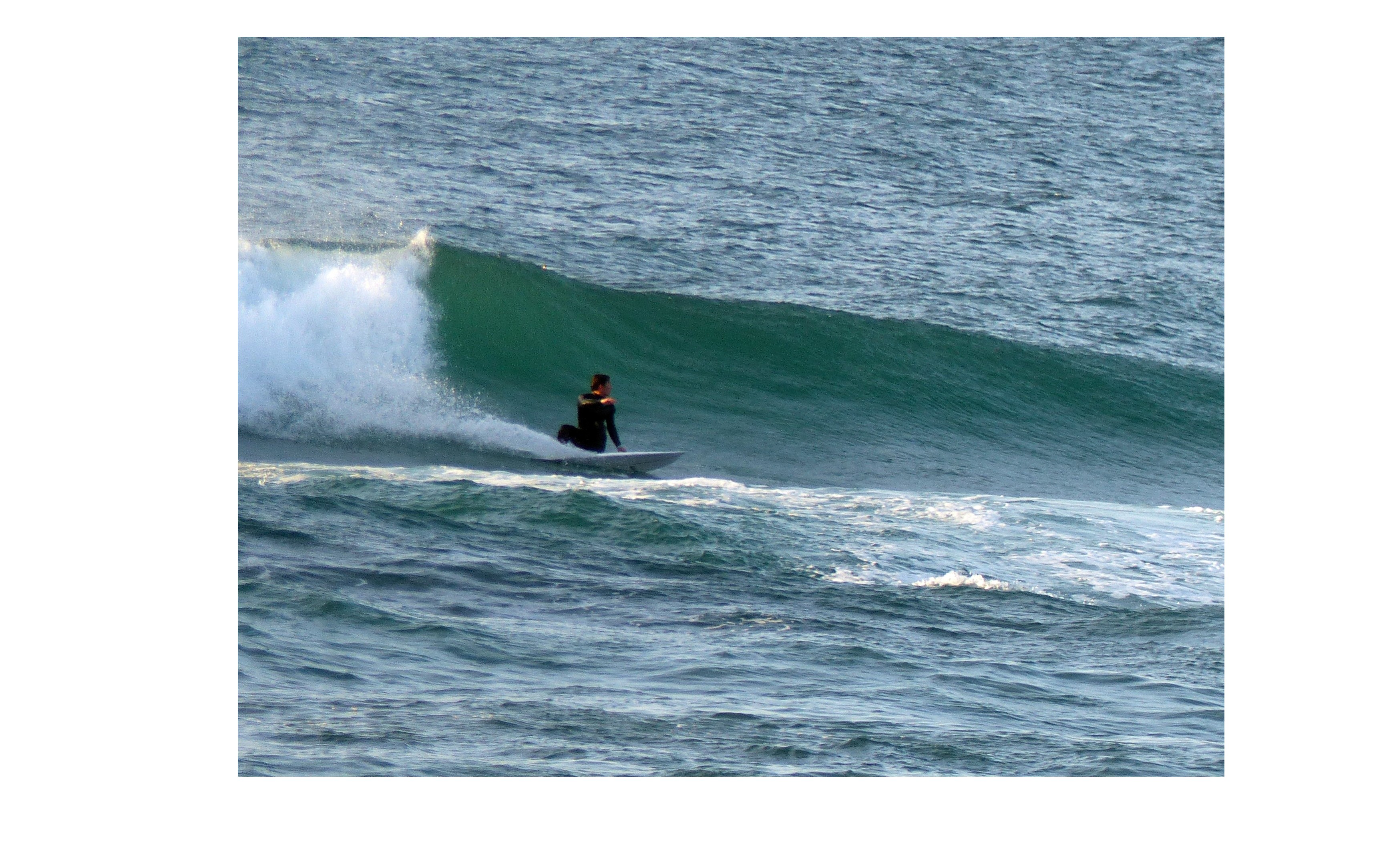 『やりたくなって頂く』