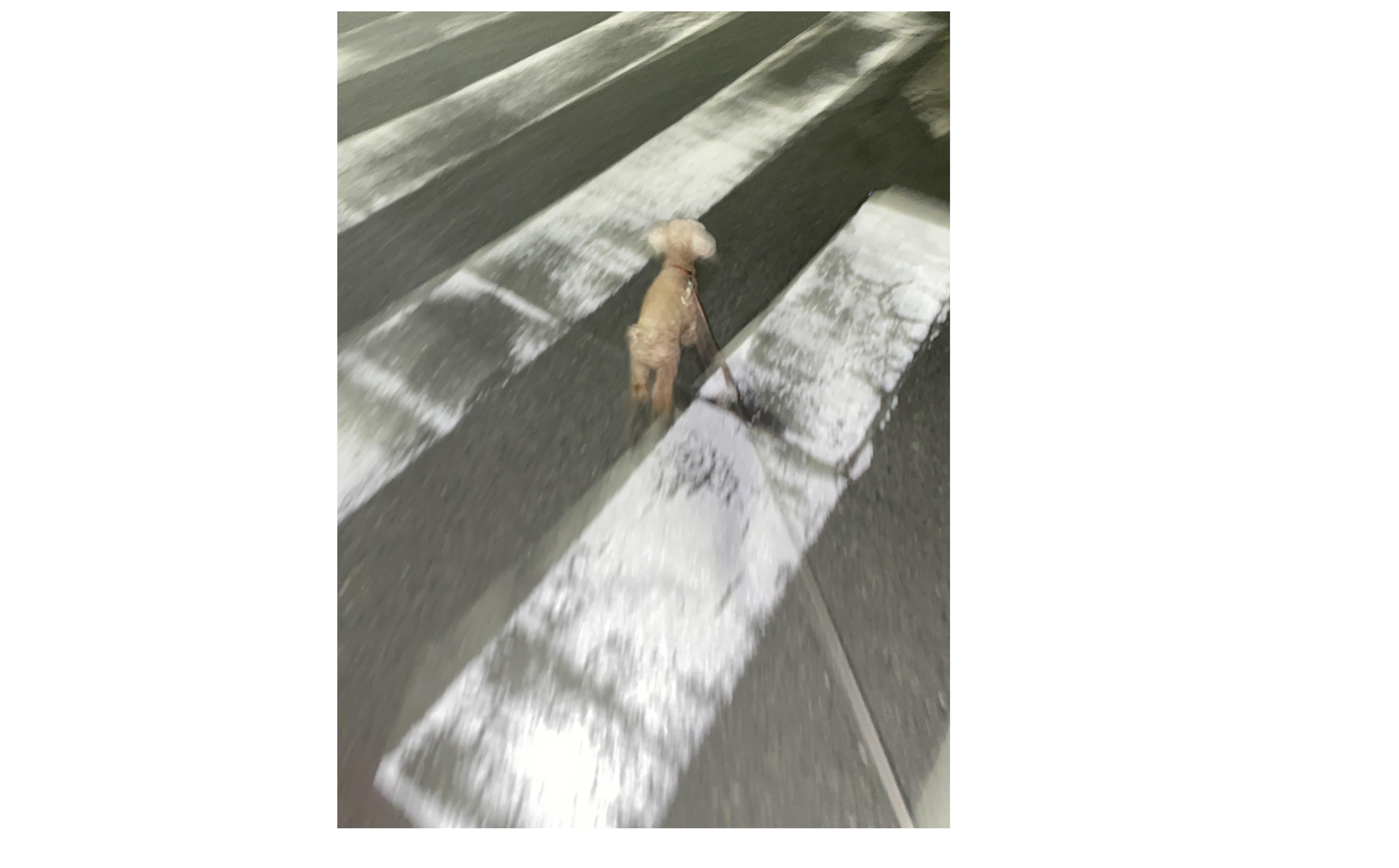 『フィードバック』