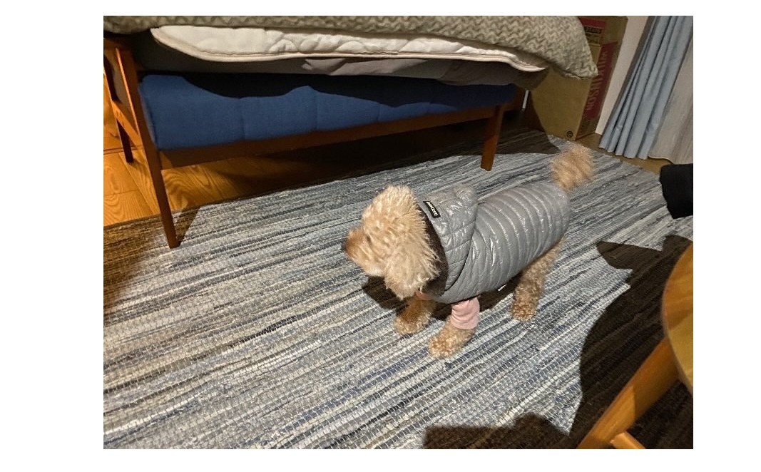 『同じことを繰り返さない為には』