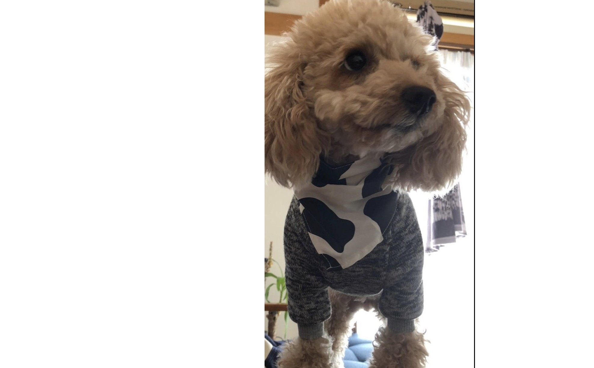 『大人の背中』