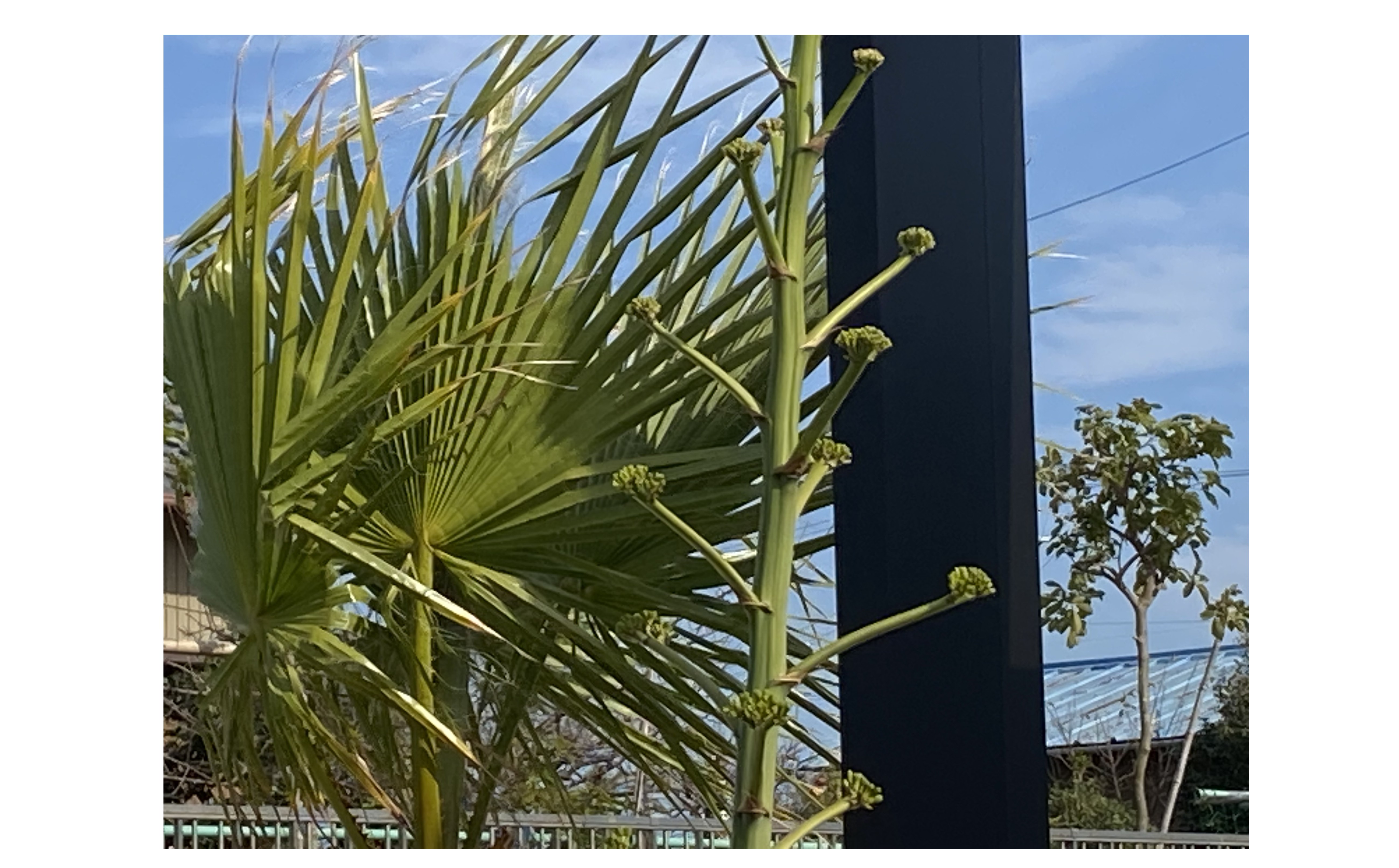 『１００年に1回の奇跡のタイミング』