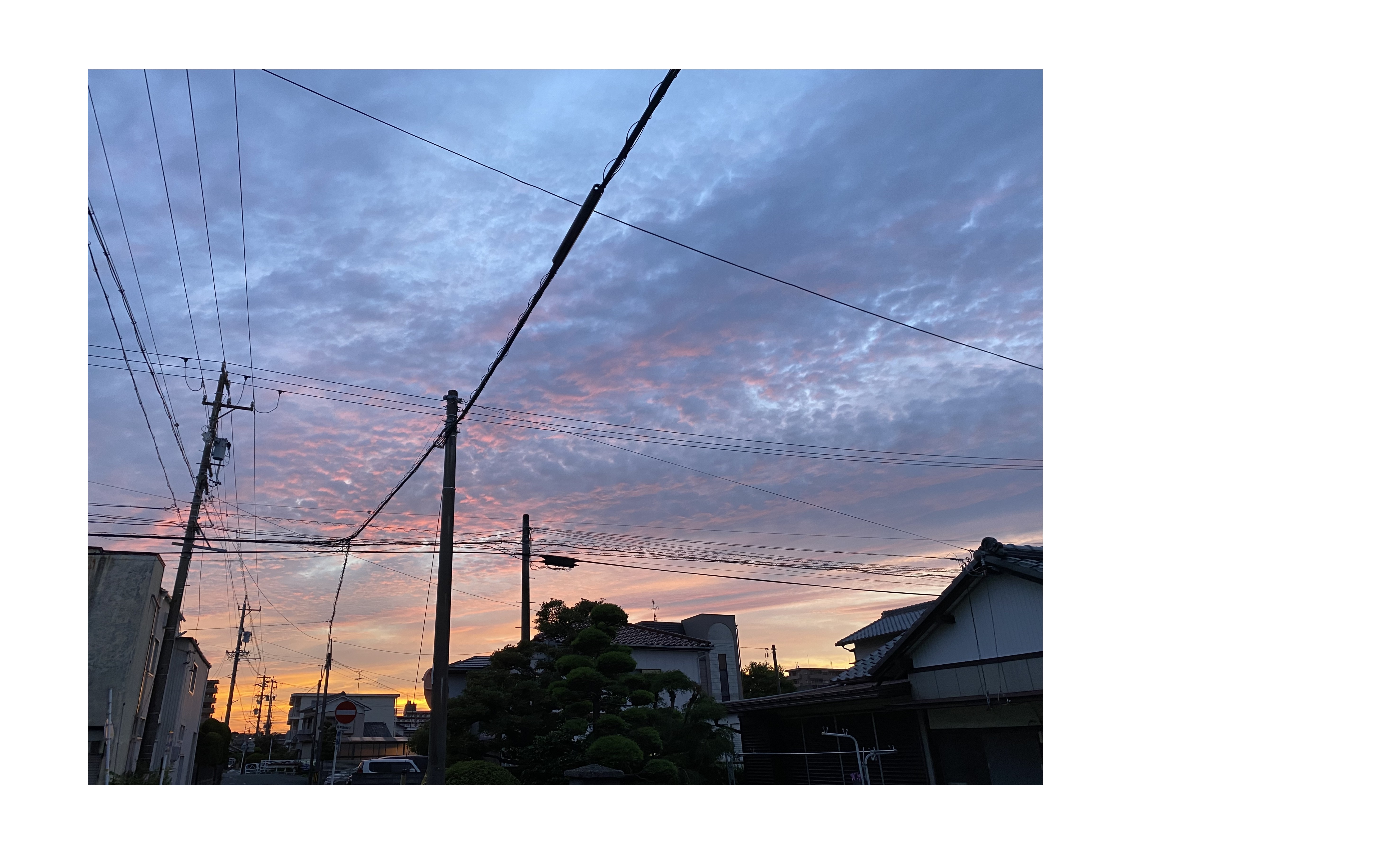 『禁酒５日、飲酒２日』