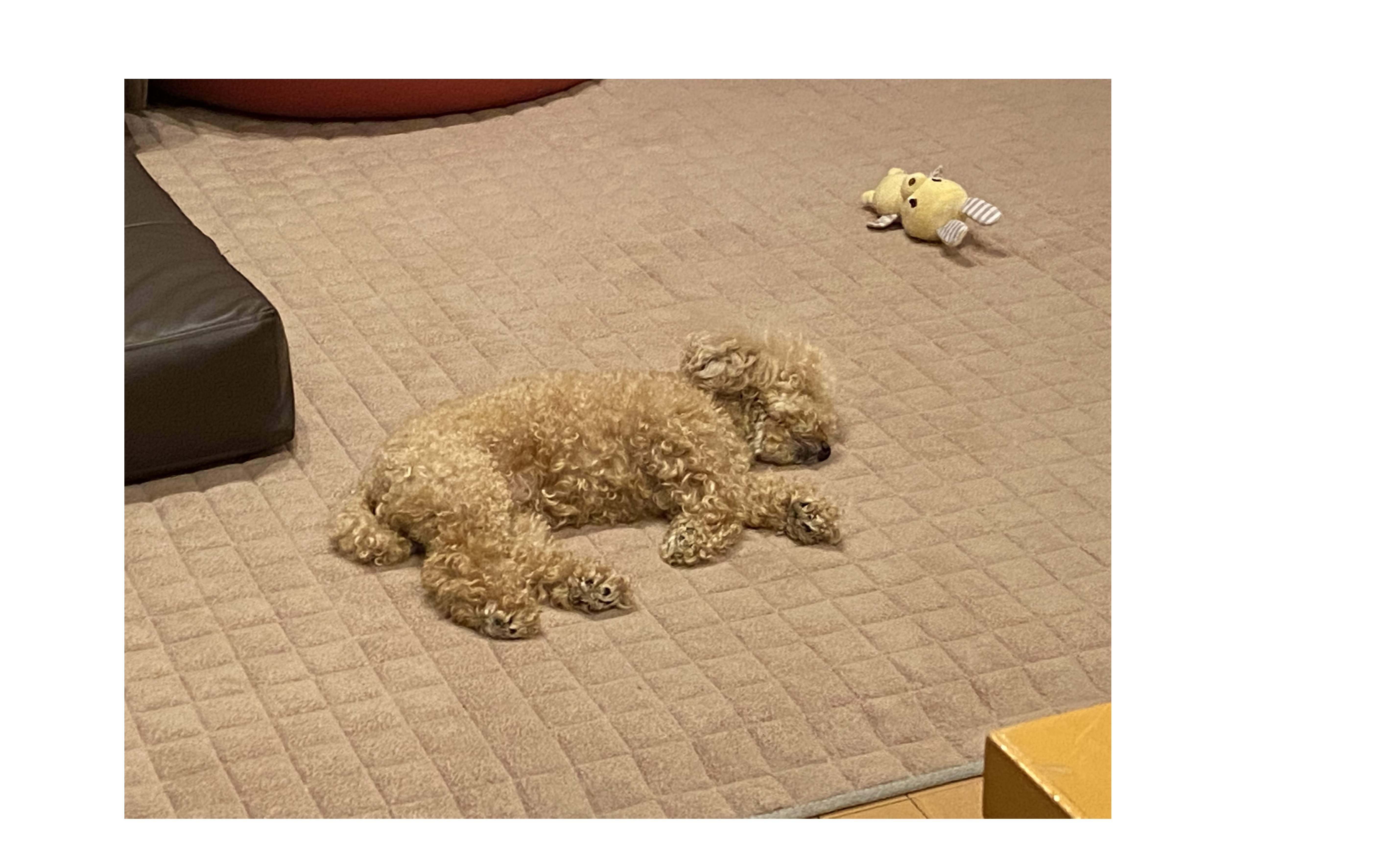 『素敵な言葉』