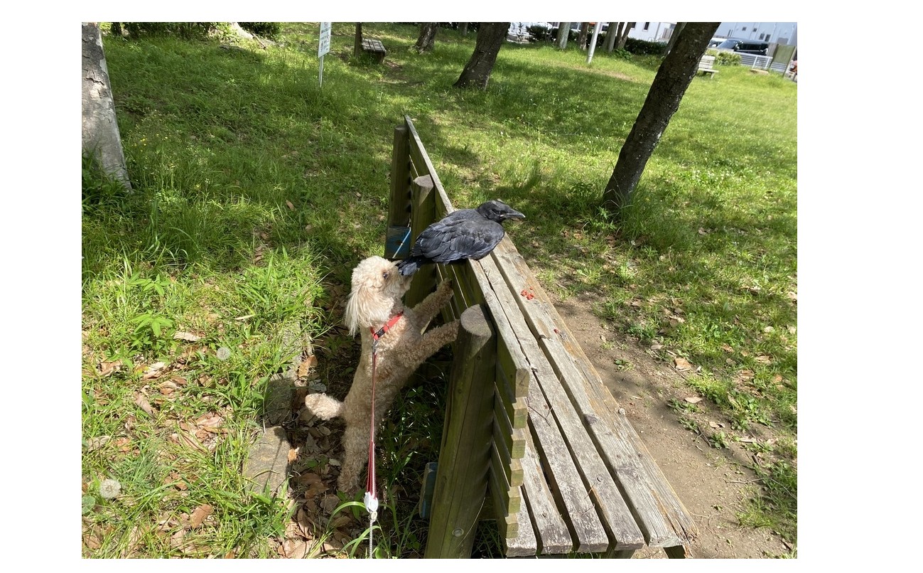 『子育てと社員育成』