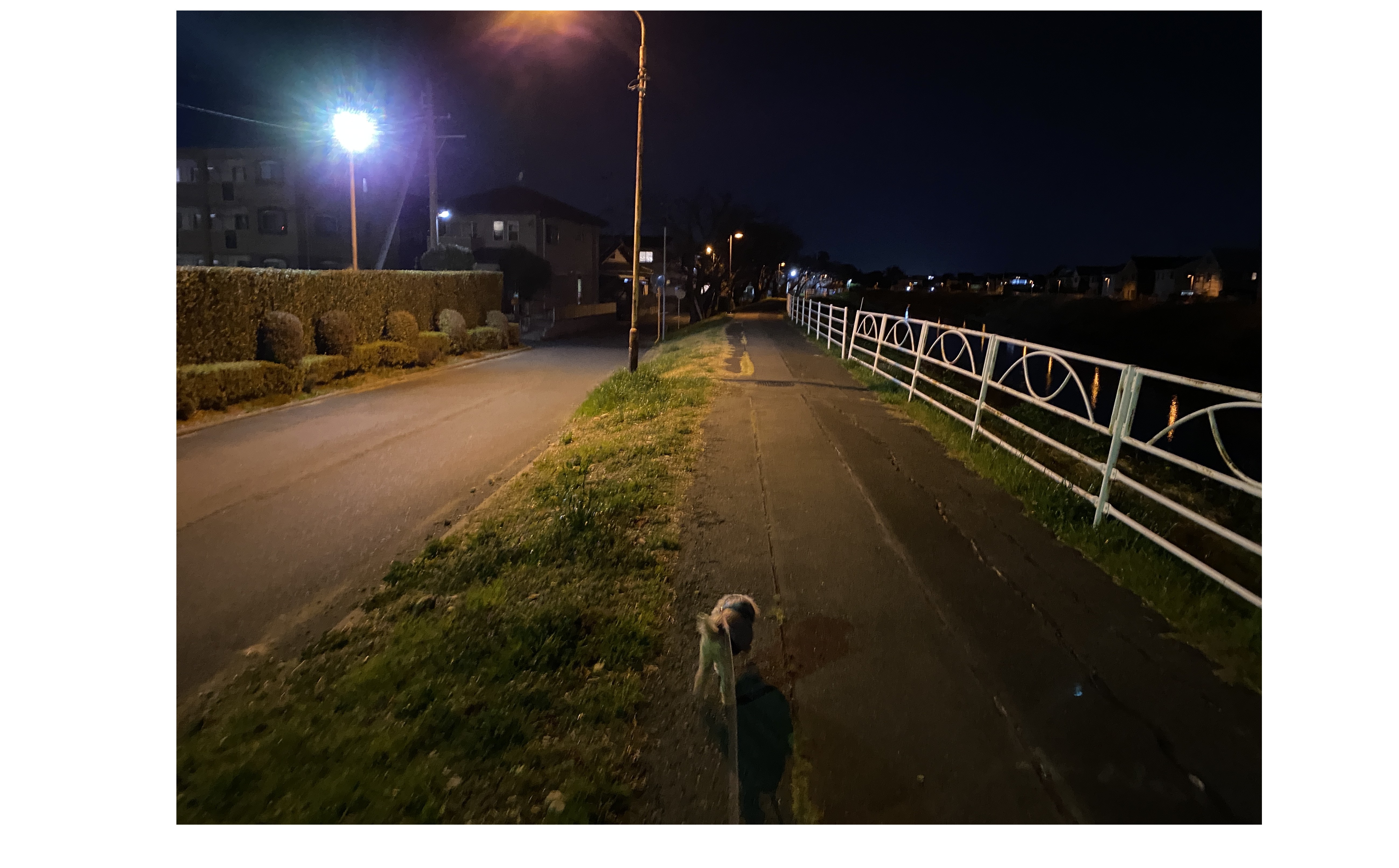 『プロから選ばれる喜び』