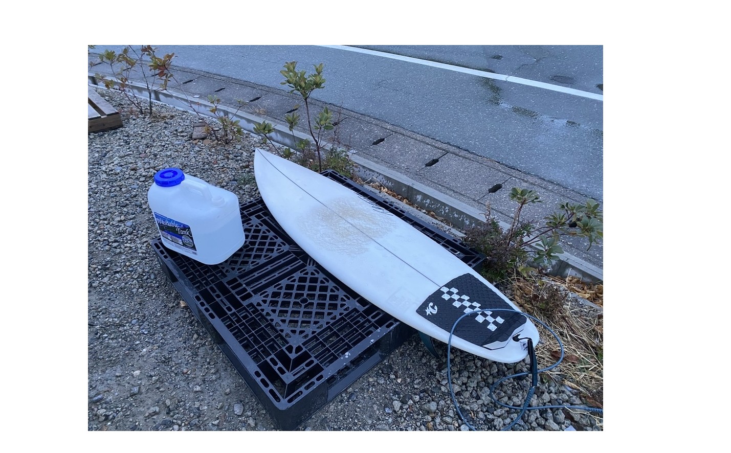 『１カ月ぶりの・・・』