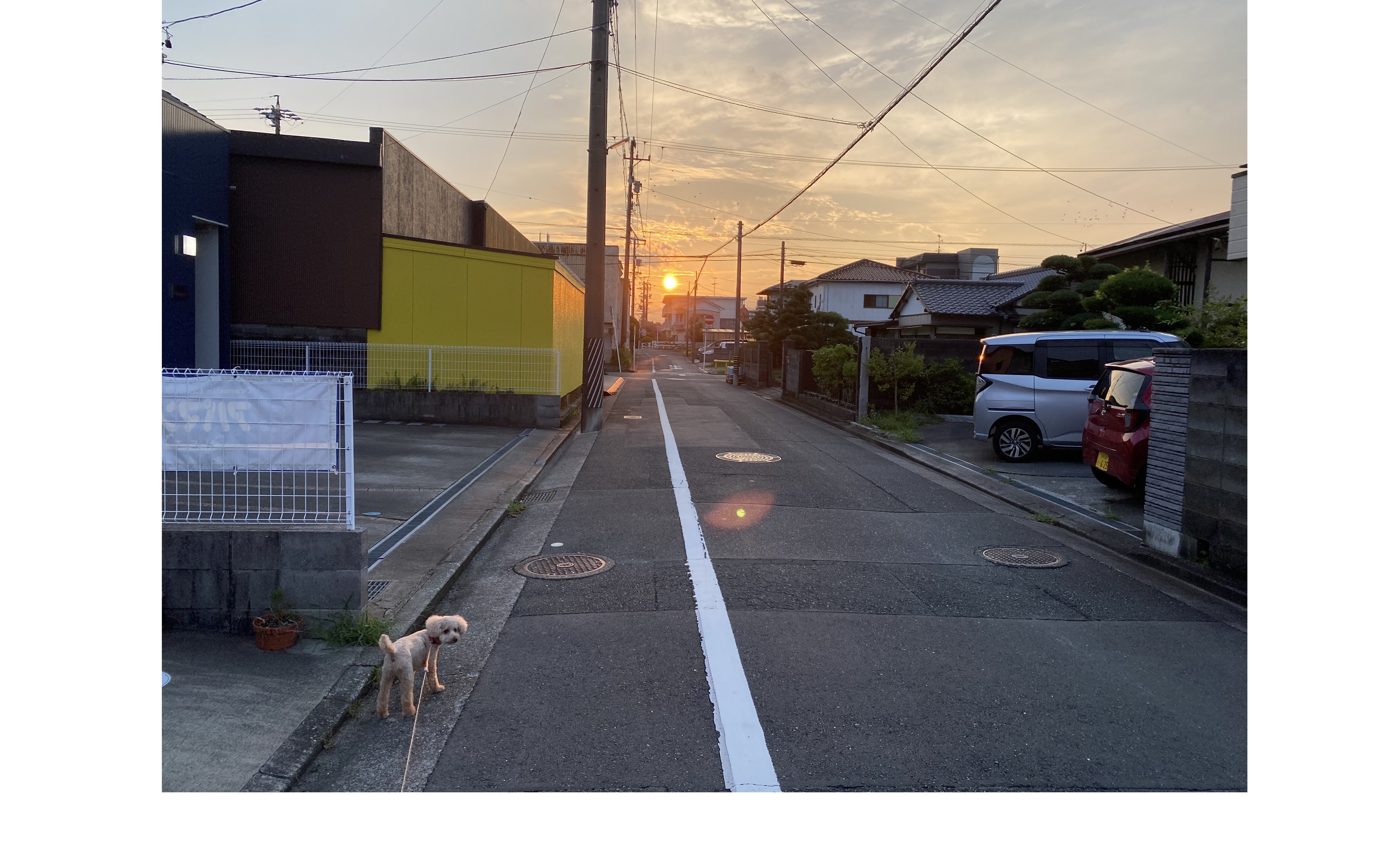 『まずは・・・。』