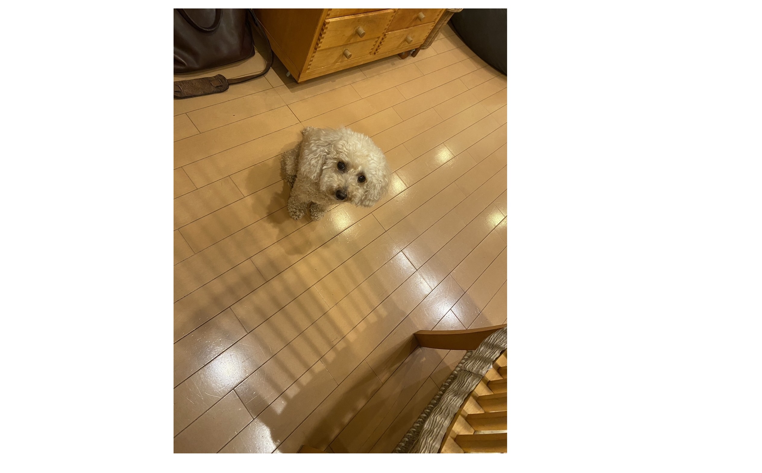 『どうしてなんですか？』