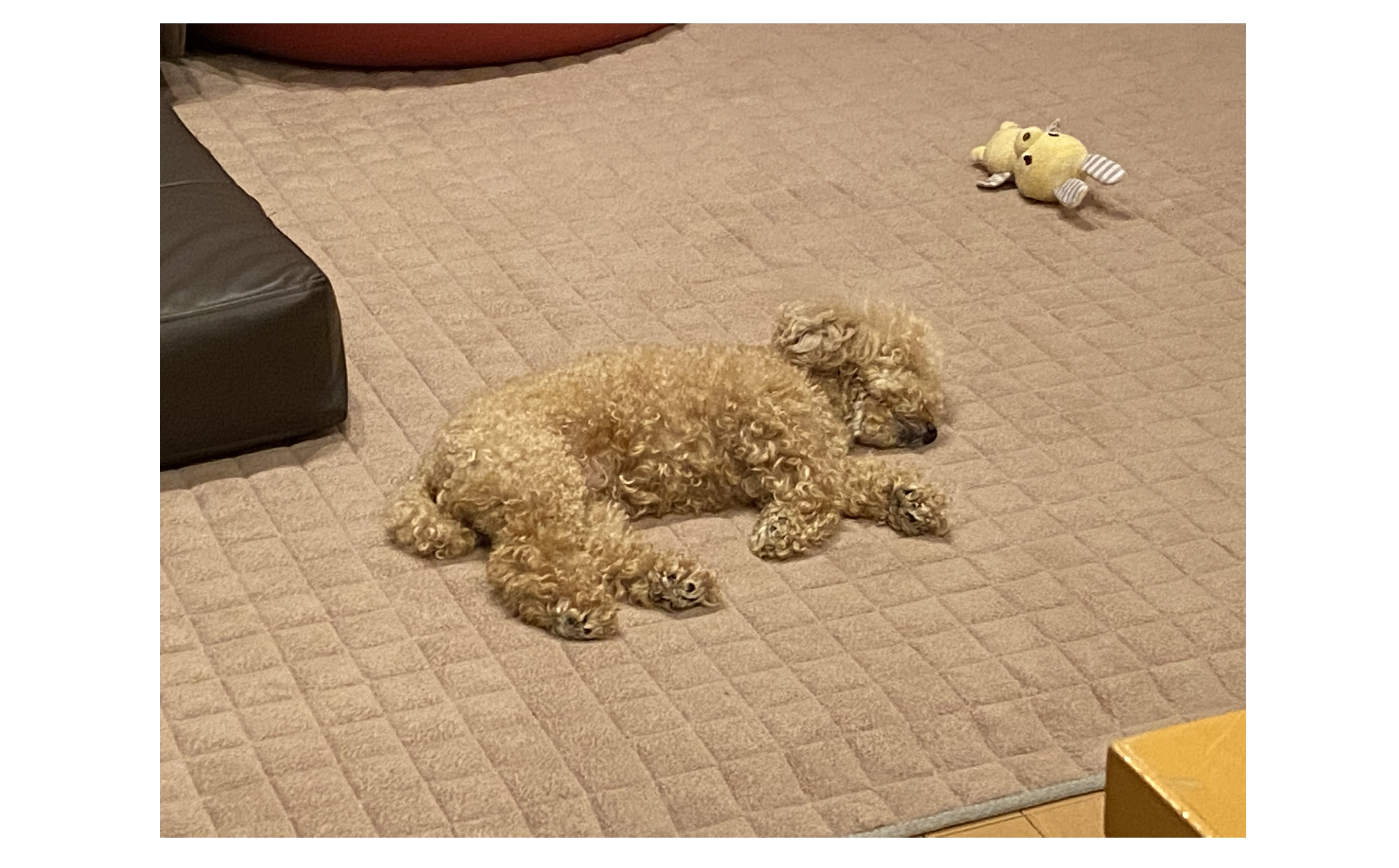 『ほんのわずかな時間』