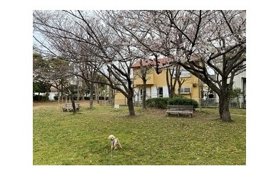 『開花しましたね』