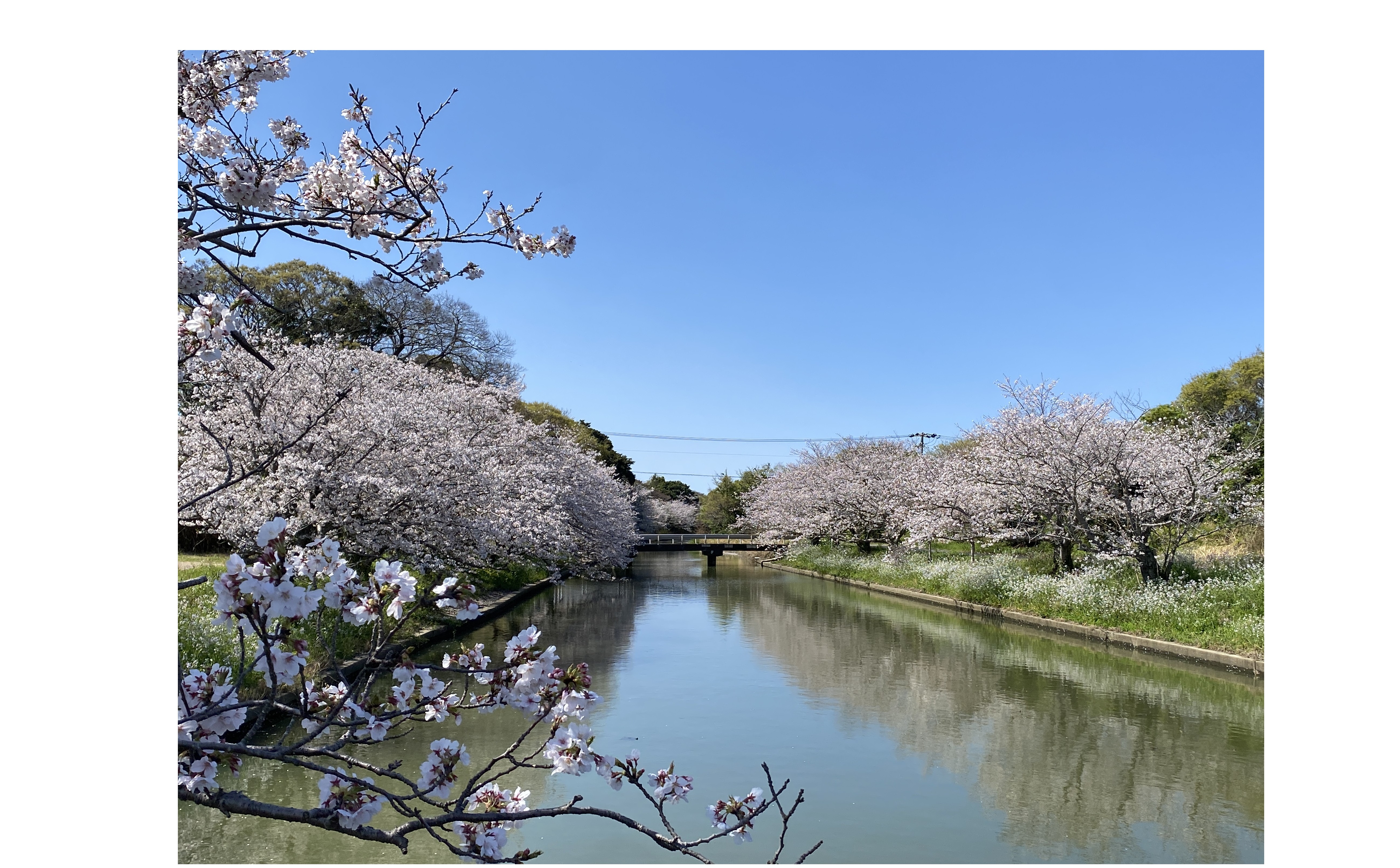 『磐田で素敵な場所を発見しました』