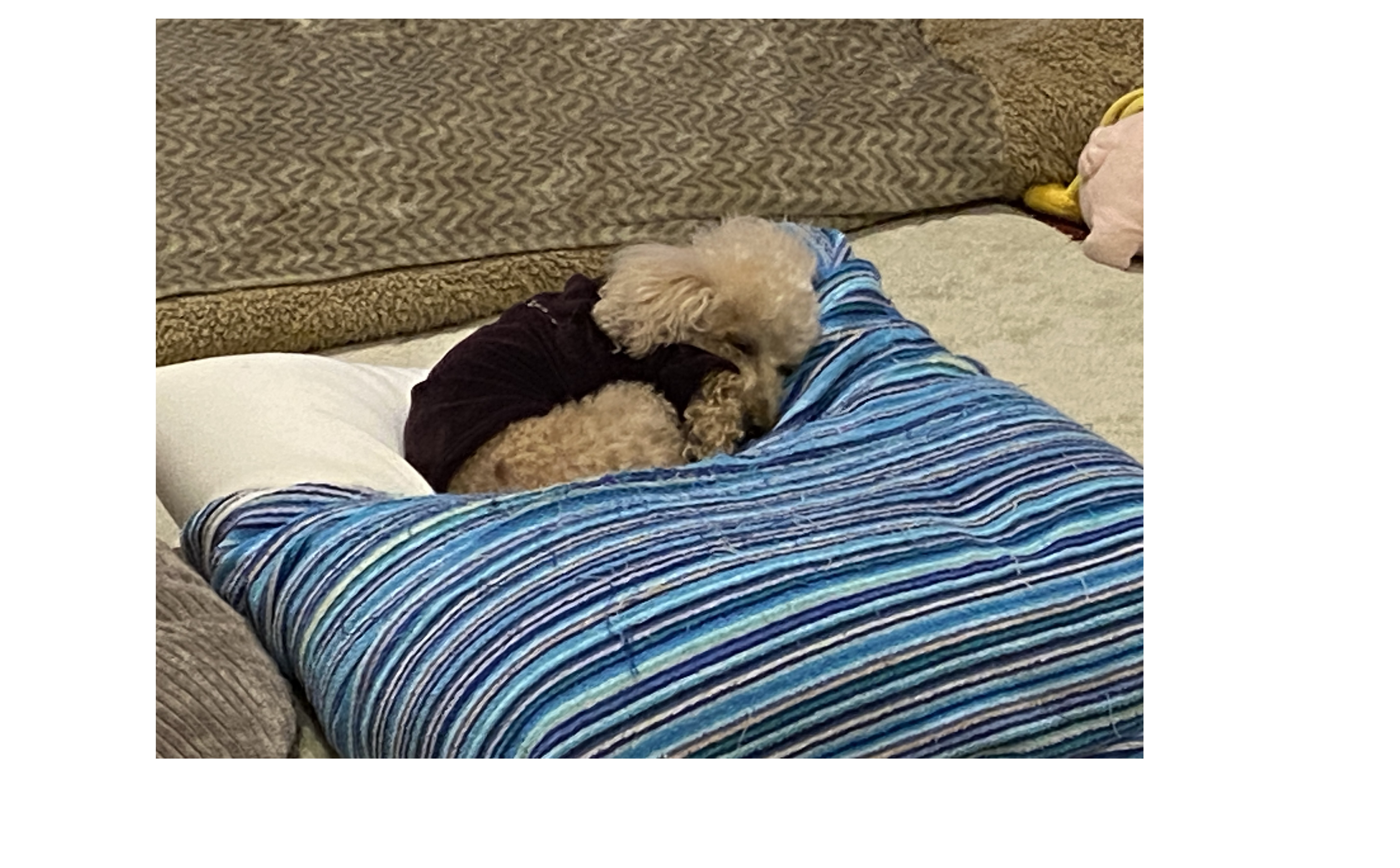 『早い対策を』