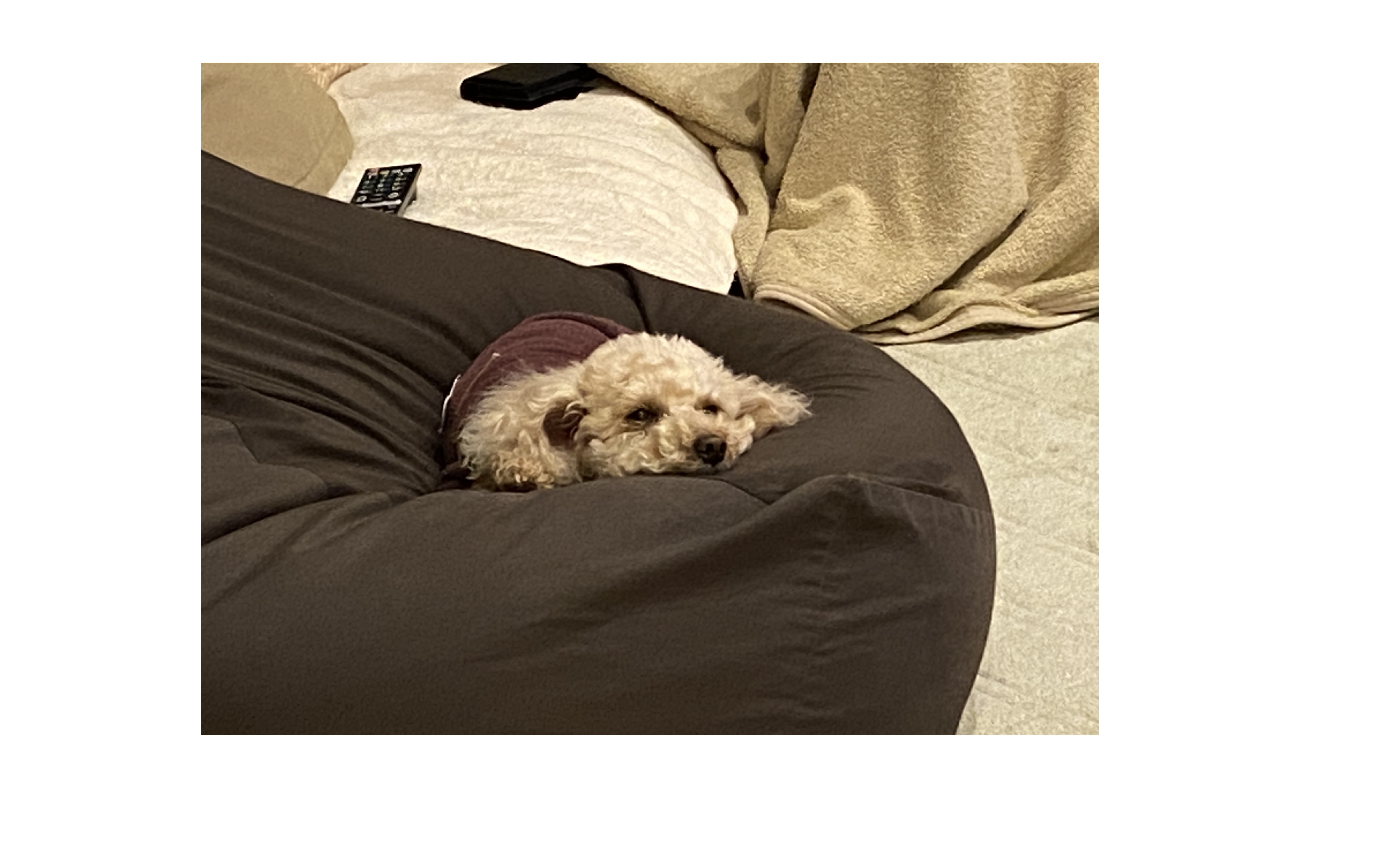 『社長のビジョンに』